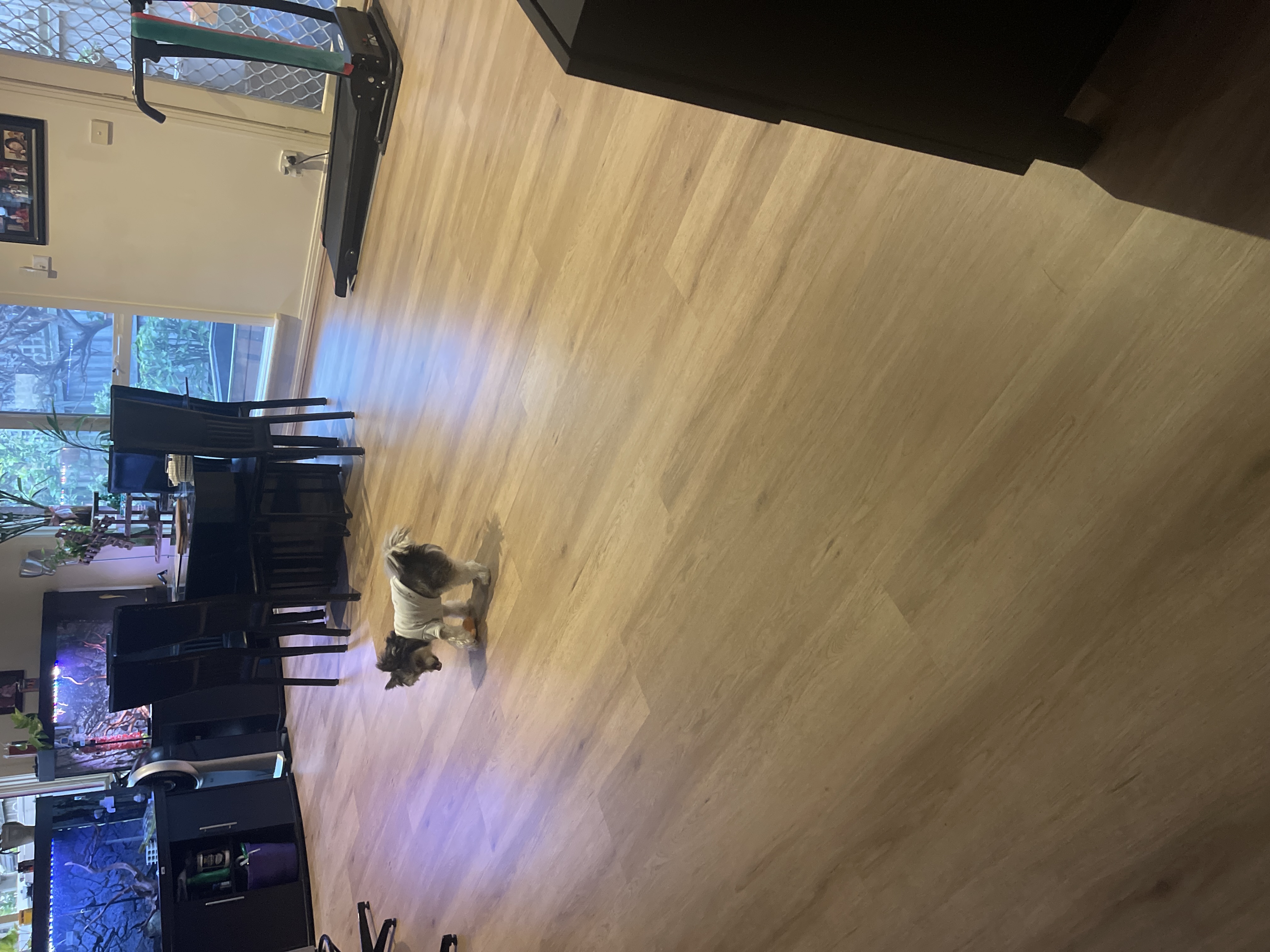 image-16