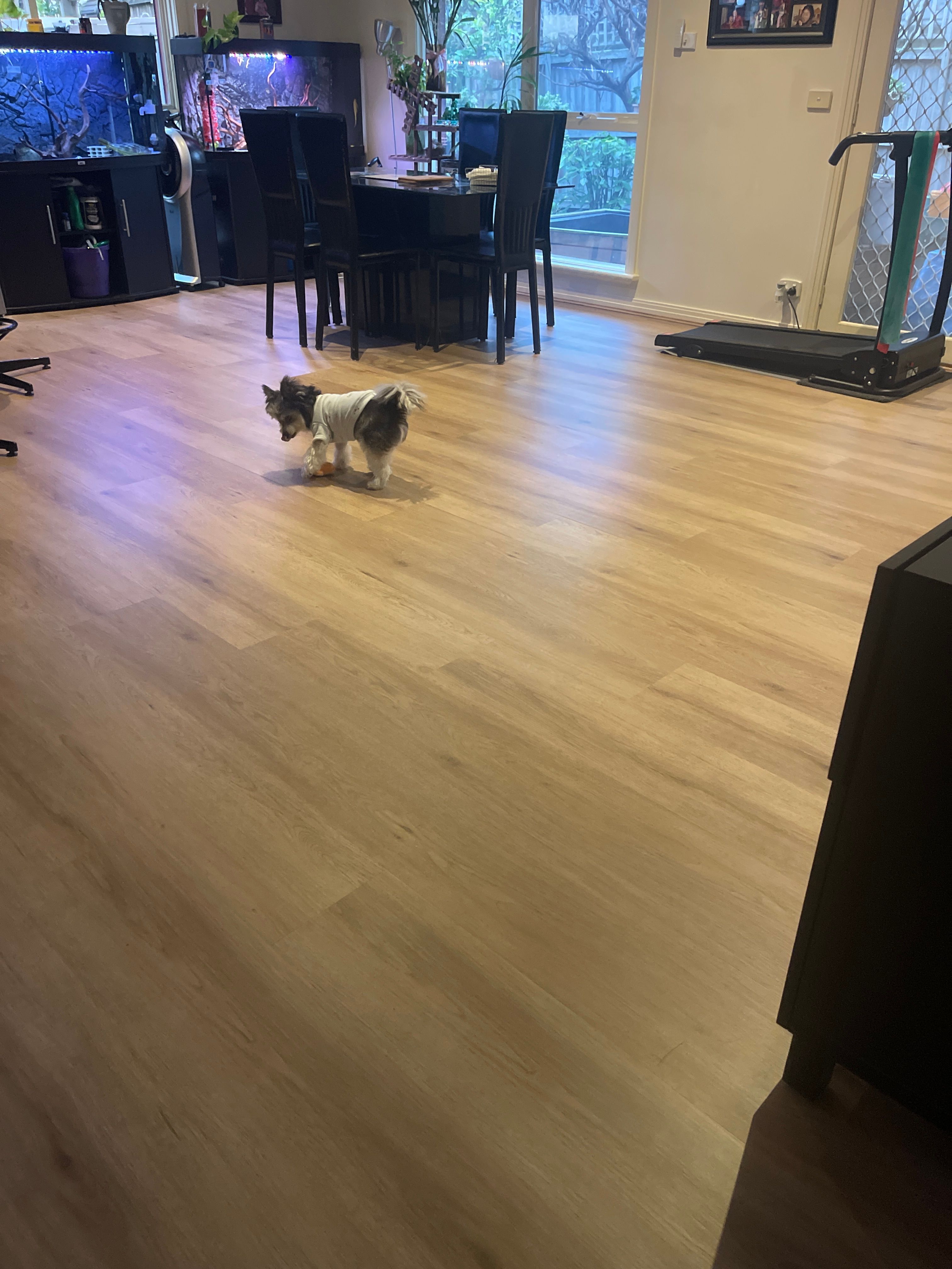 image-16