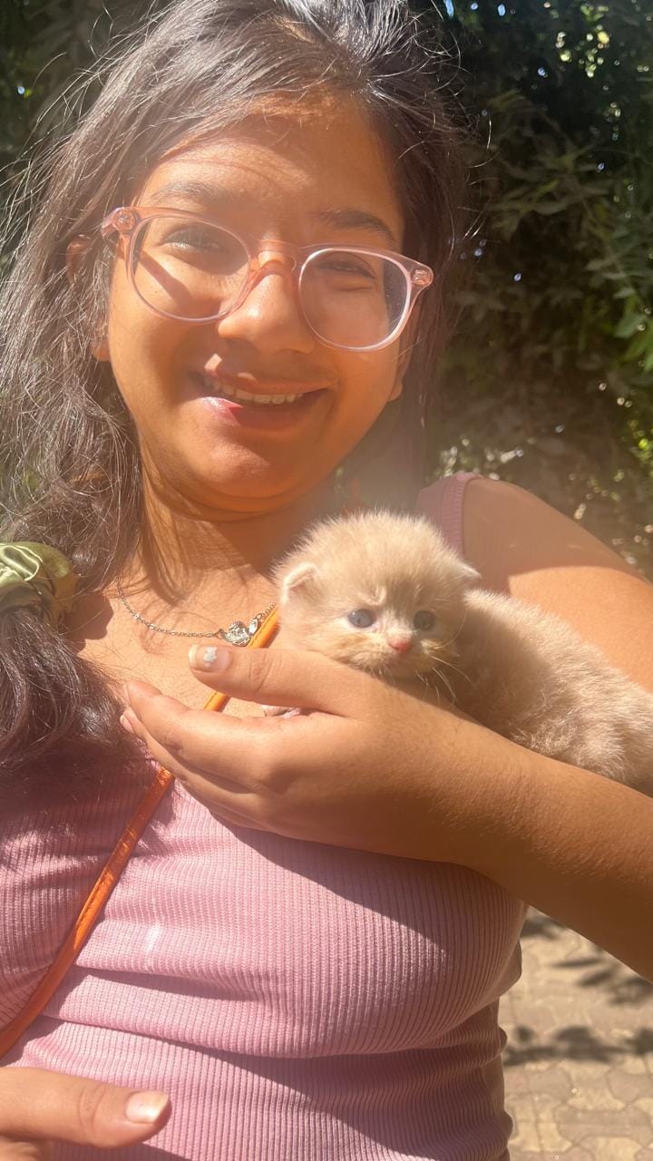 image-3