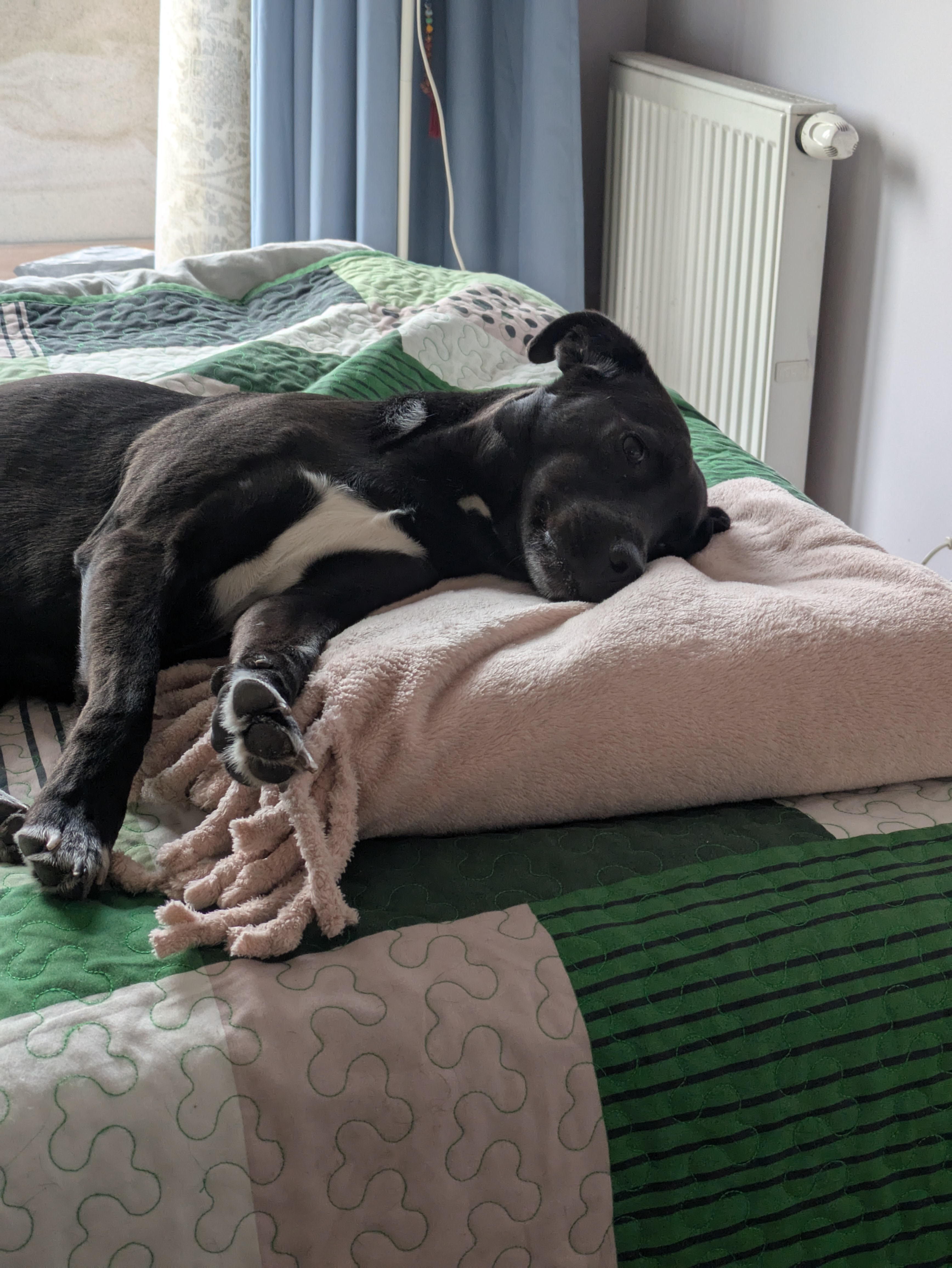 image-8