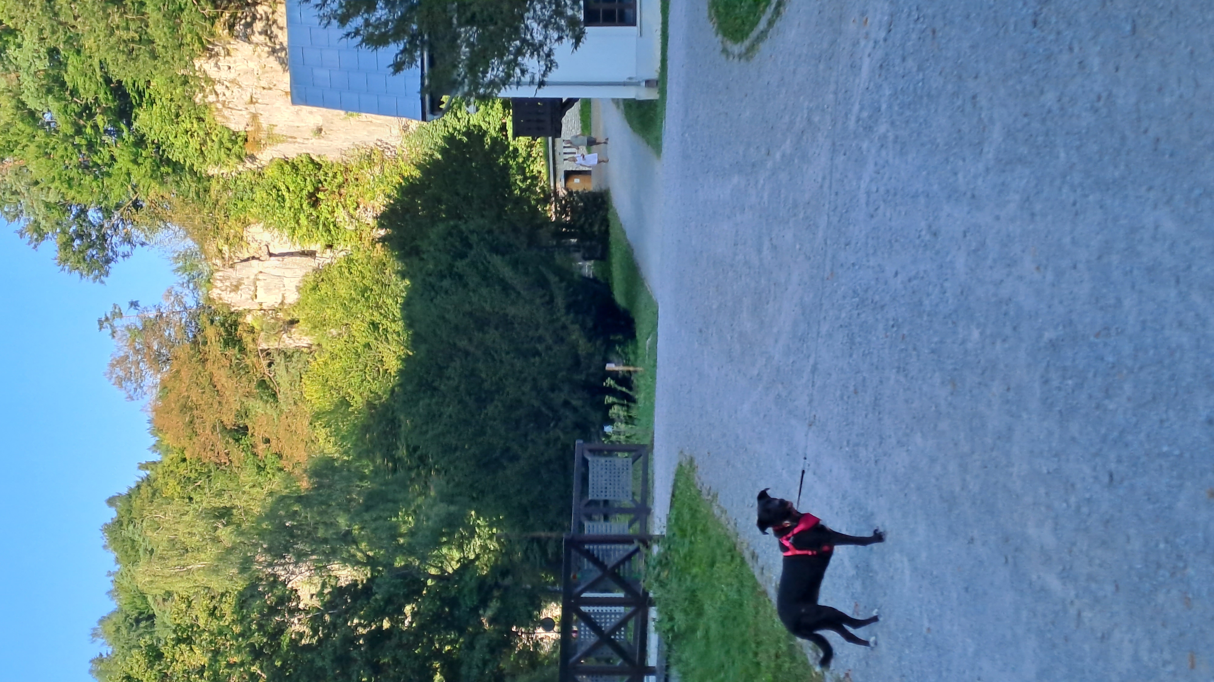 image-12