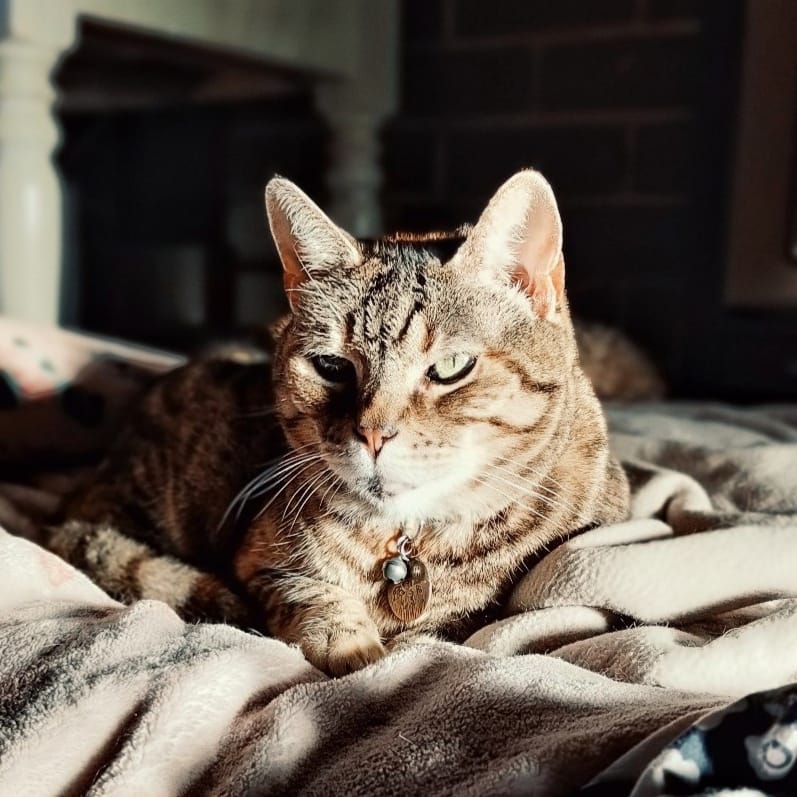 Millie