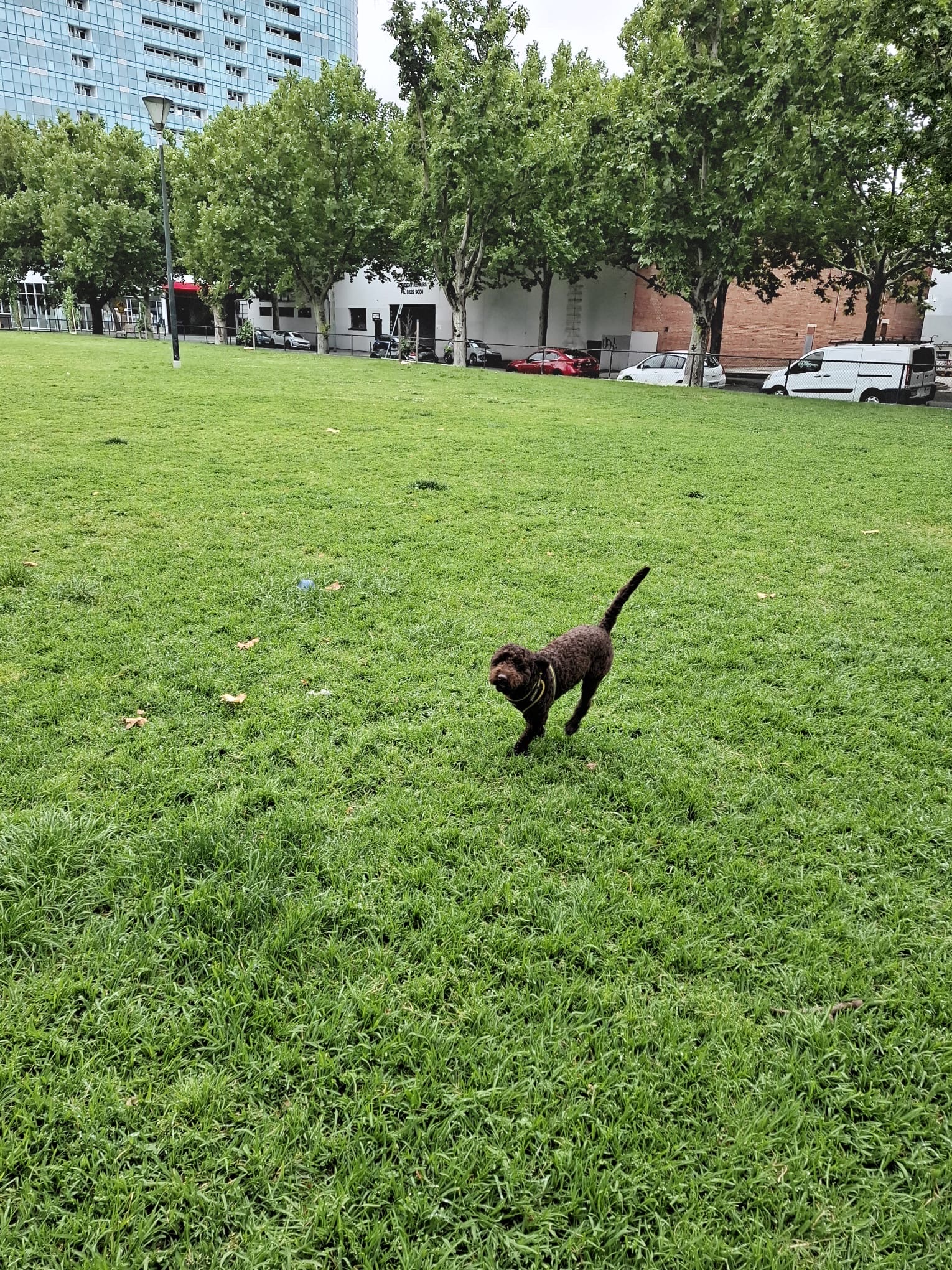 image-7