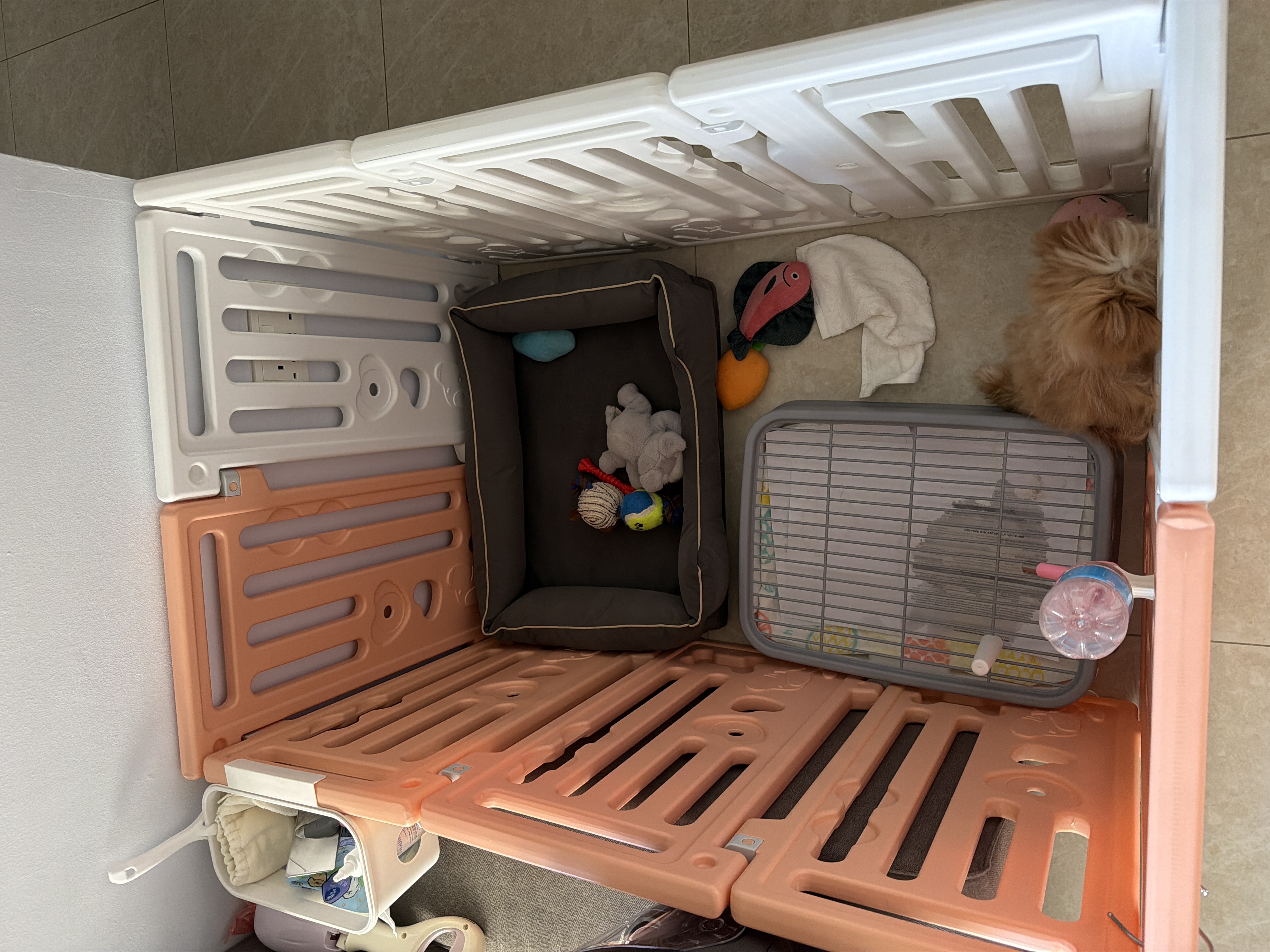 image-9