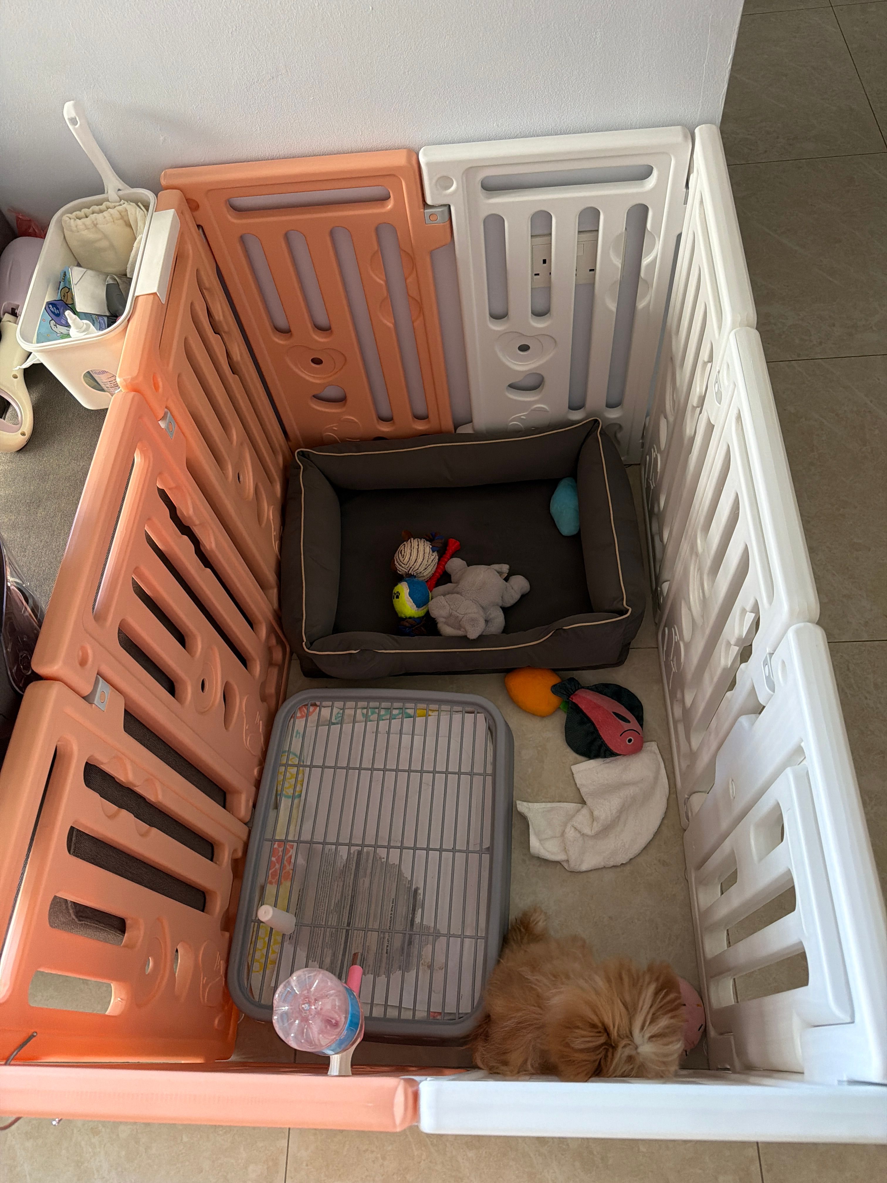 image-9