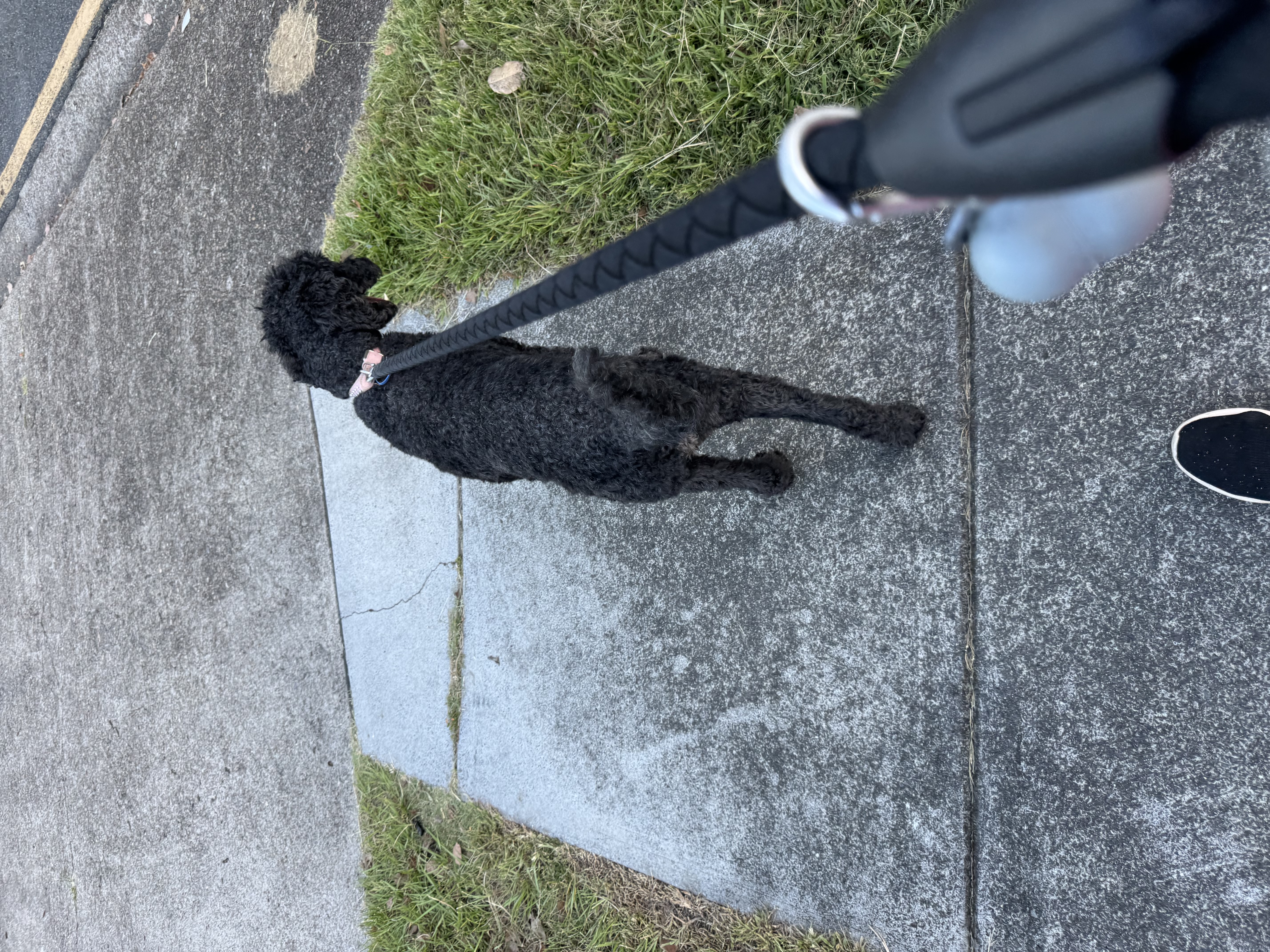 image-10