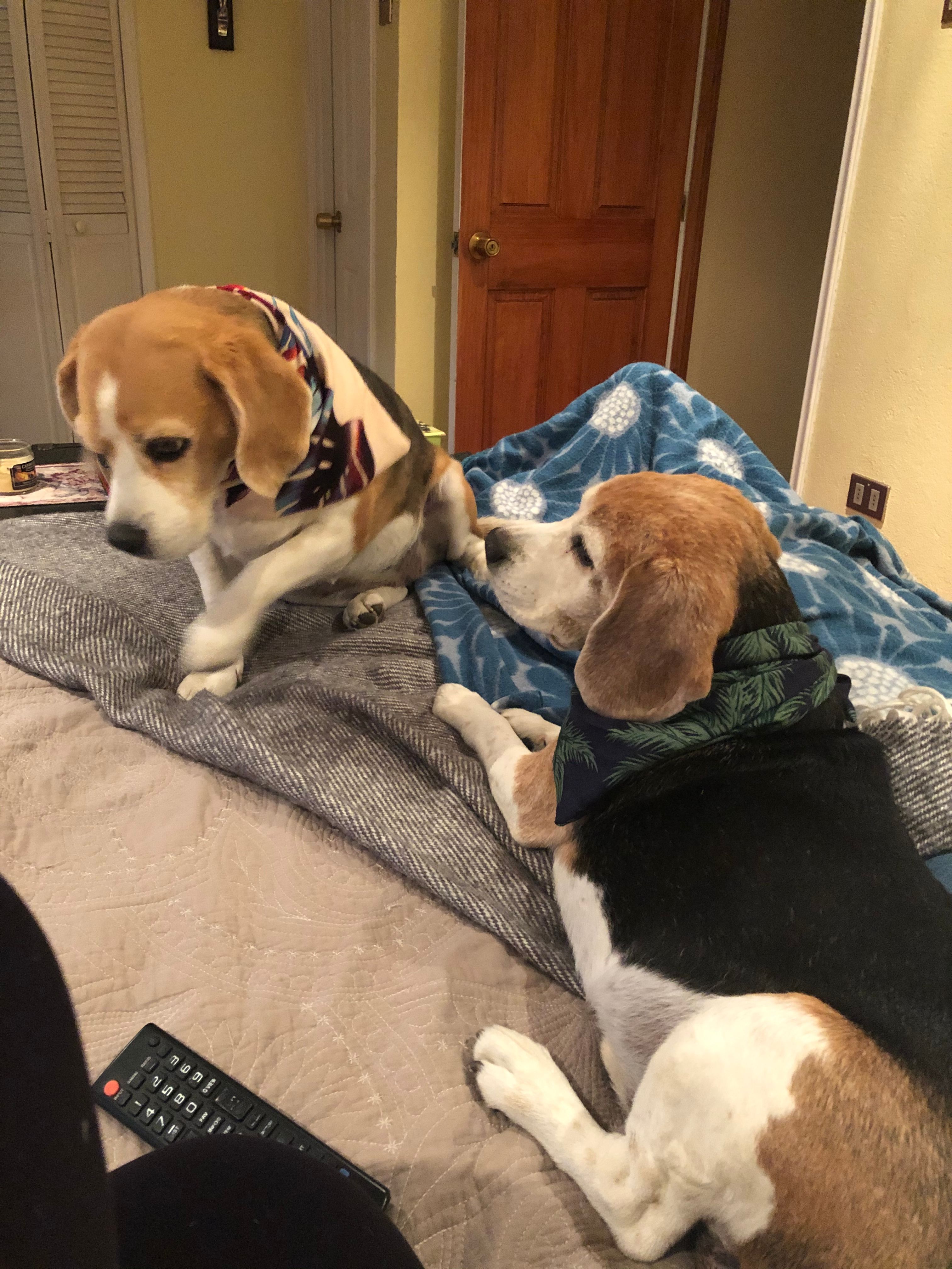 image-13