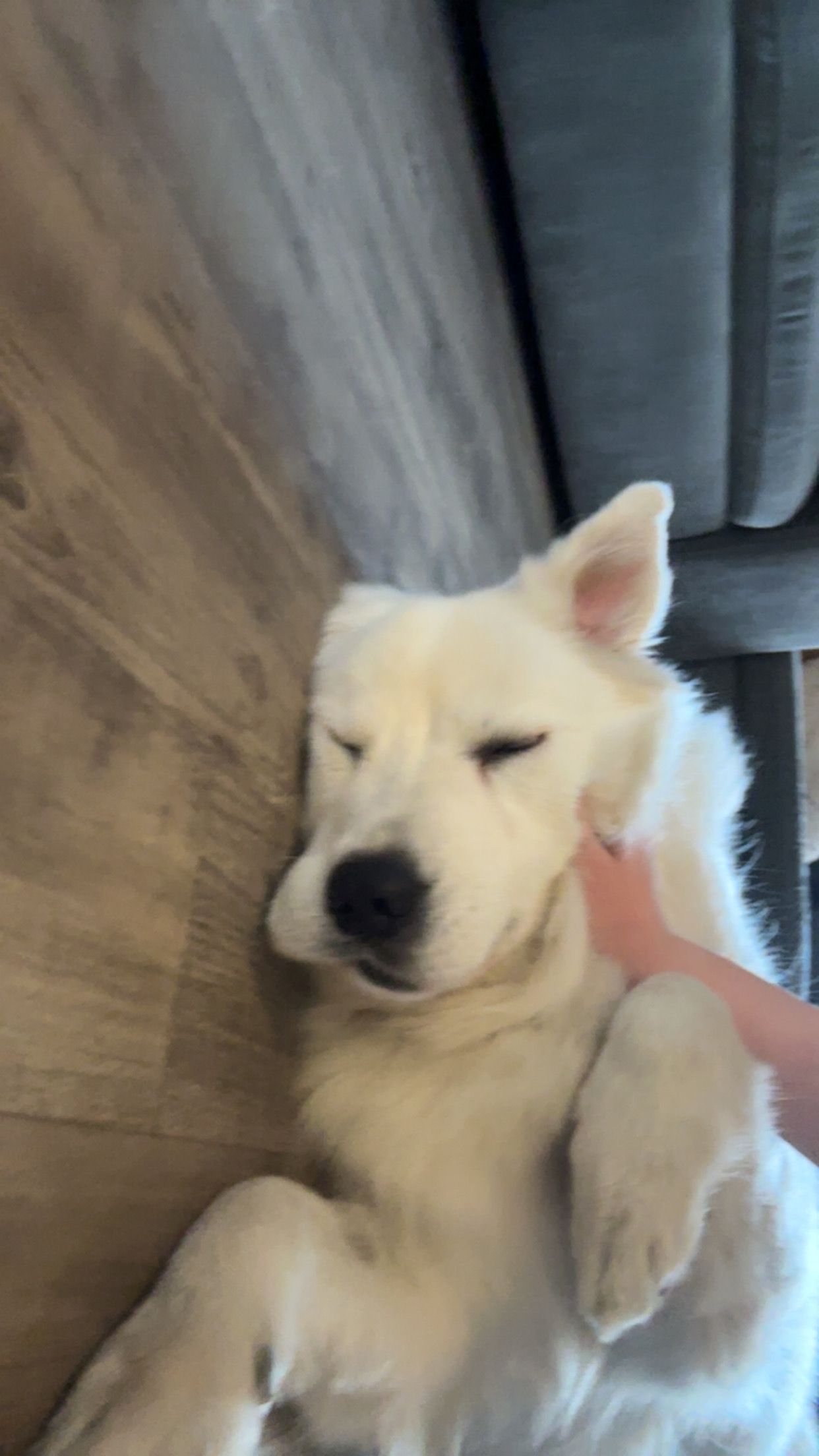 image-8