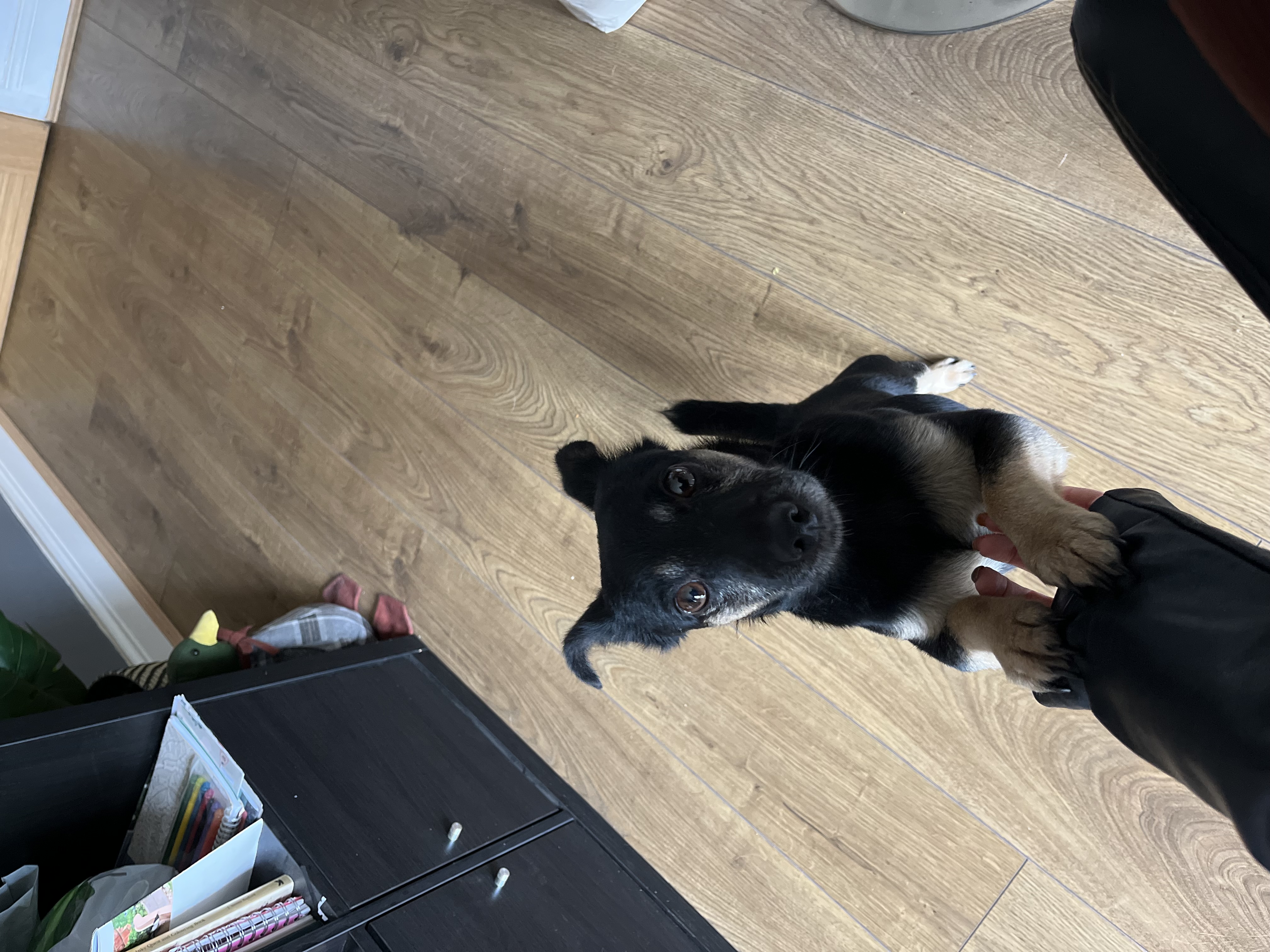 image-6