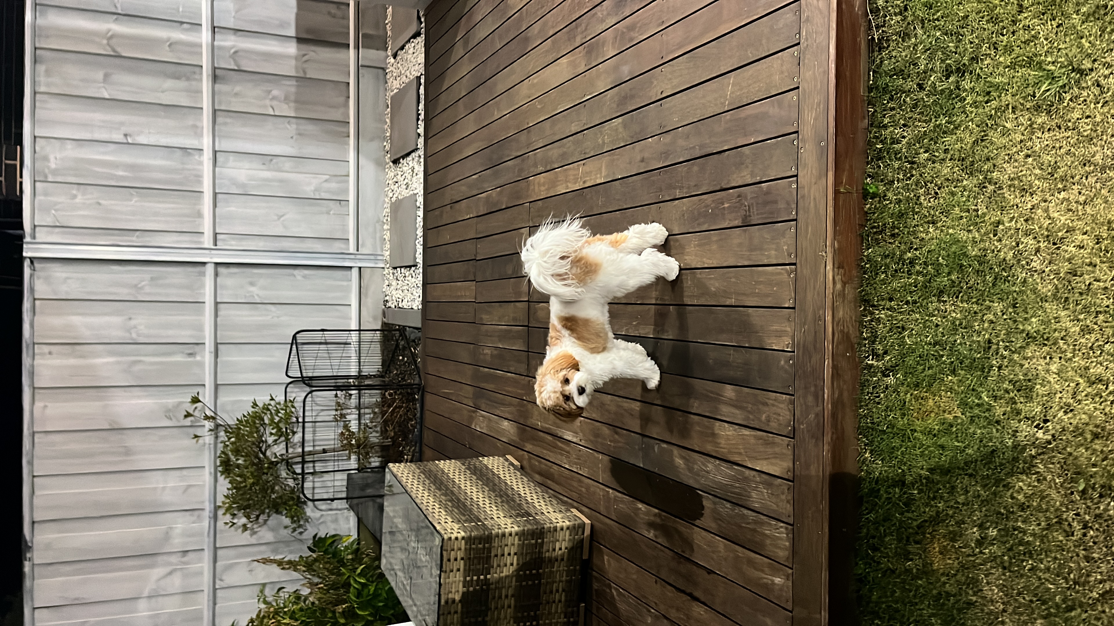 image-7