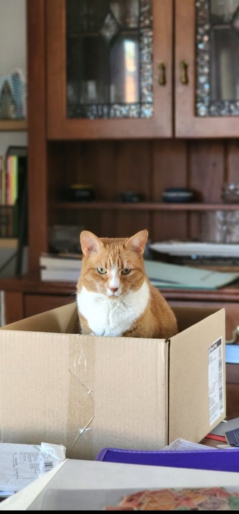 image-5