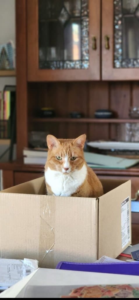 image-5
