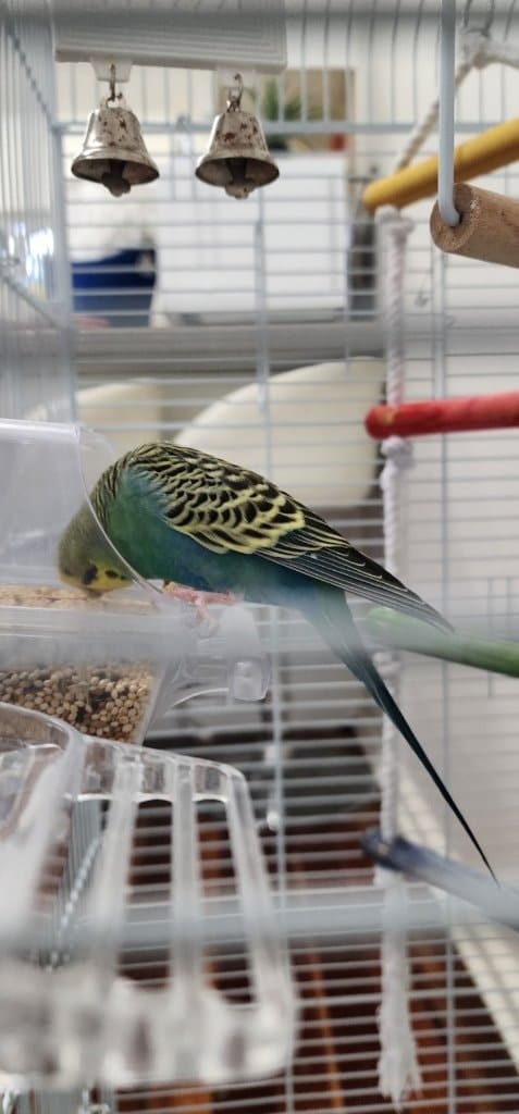 image-8