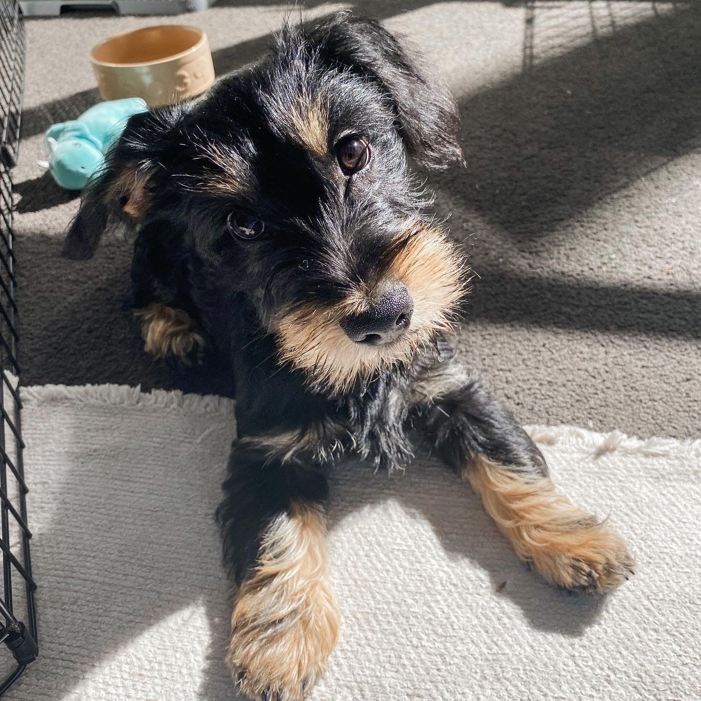 Pablo