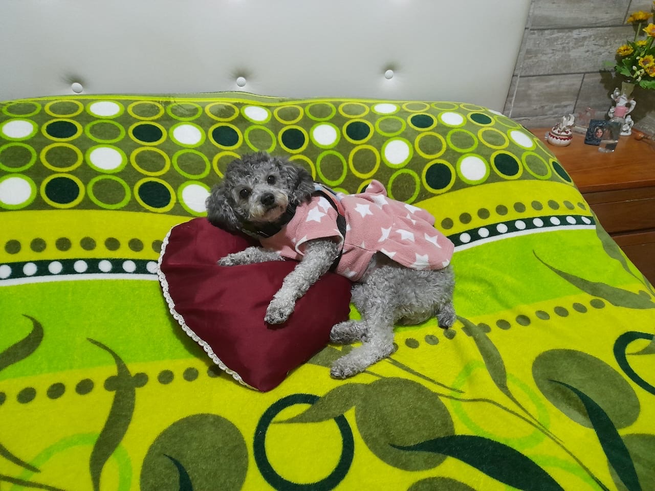 image-9
