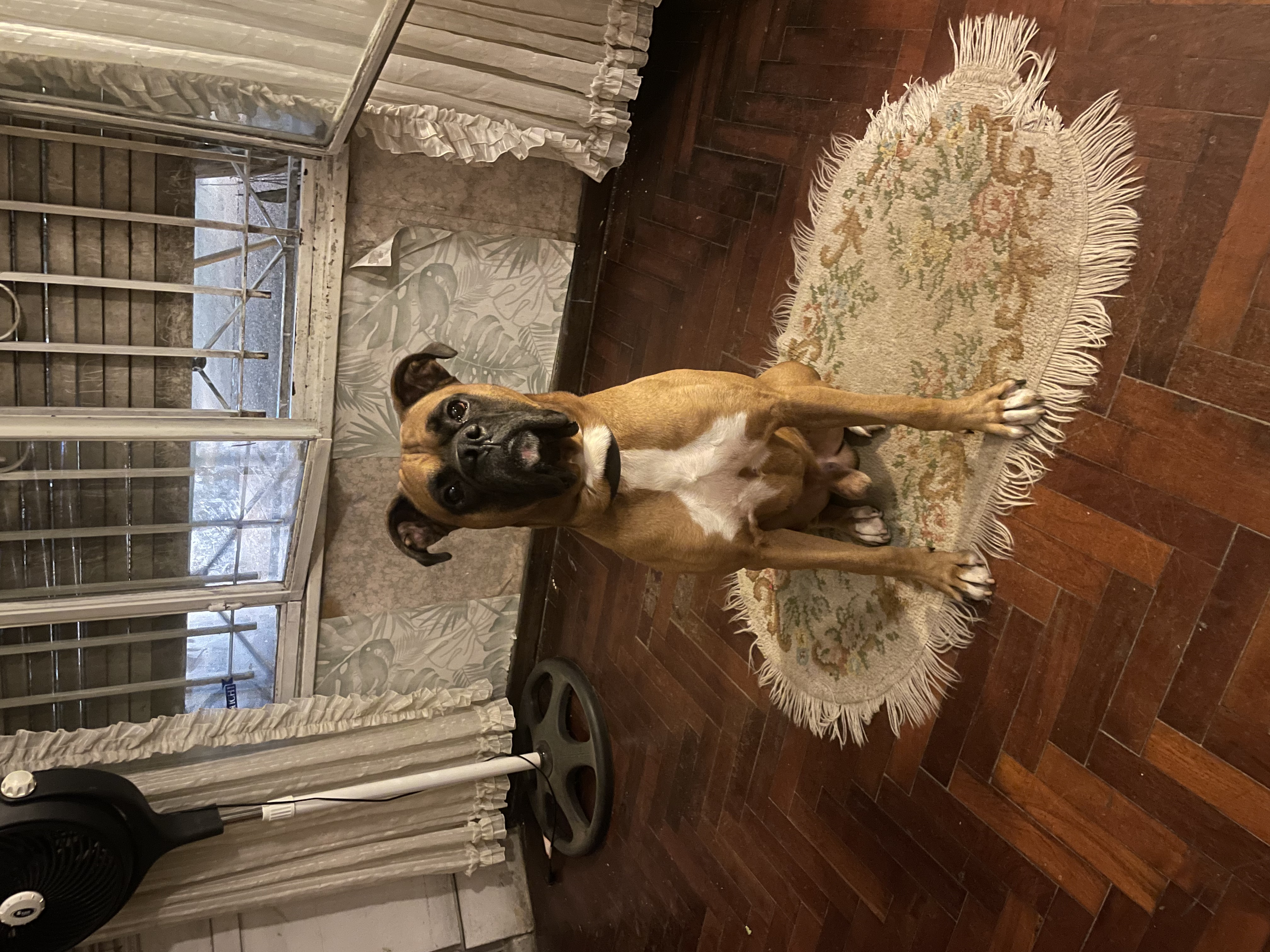 image-6