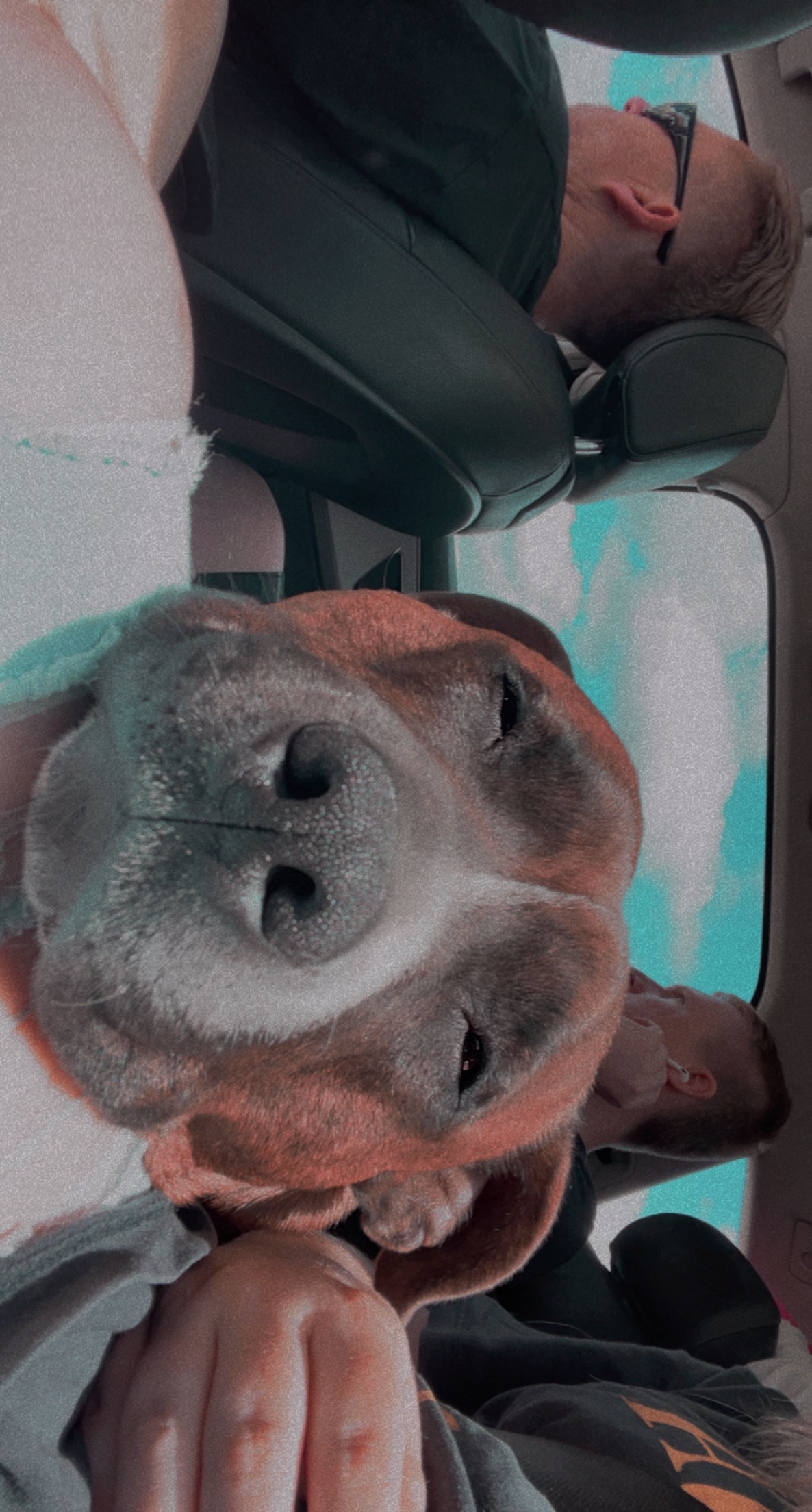 image-15