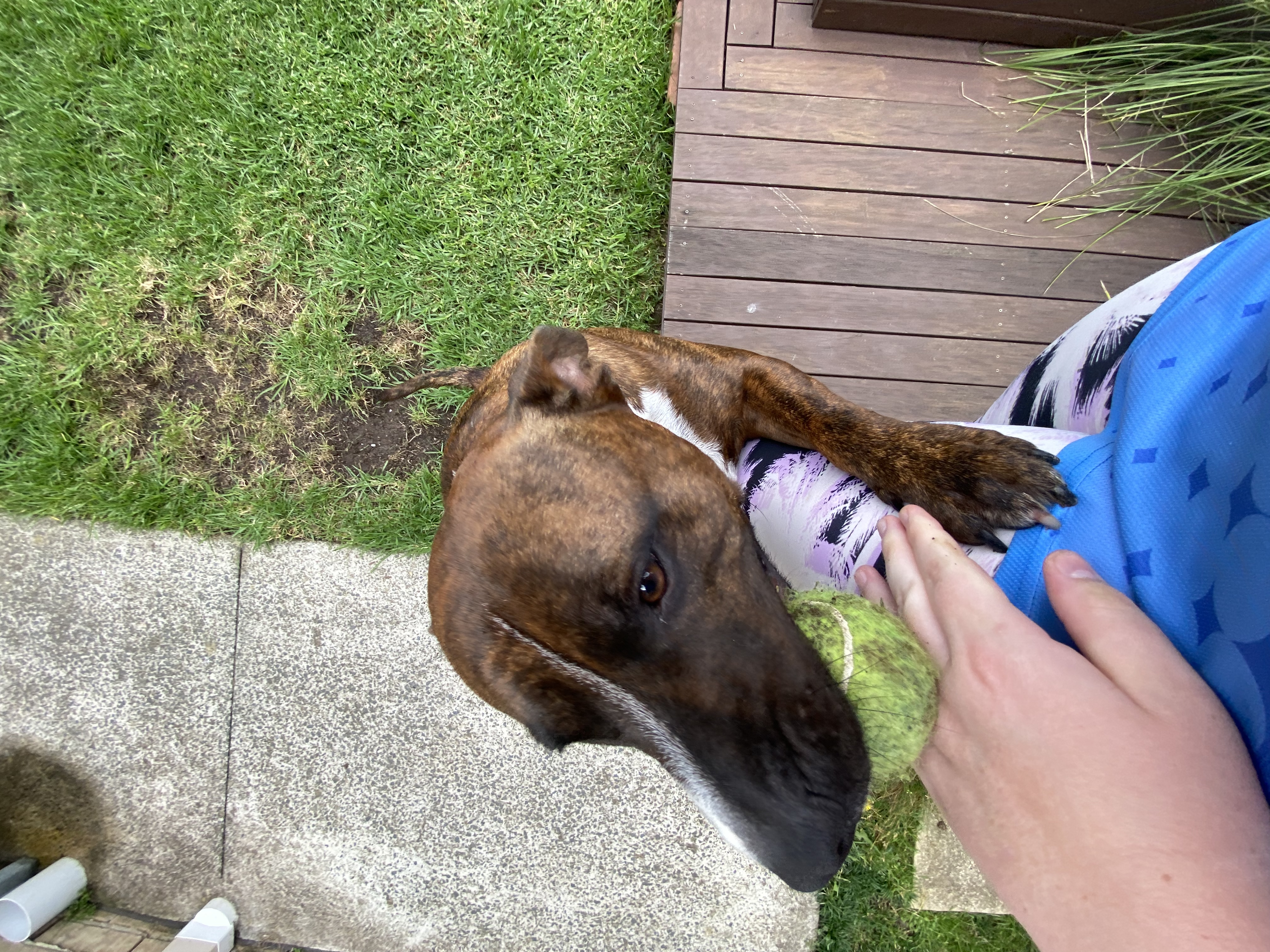 image-9