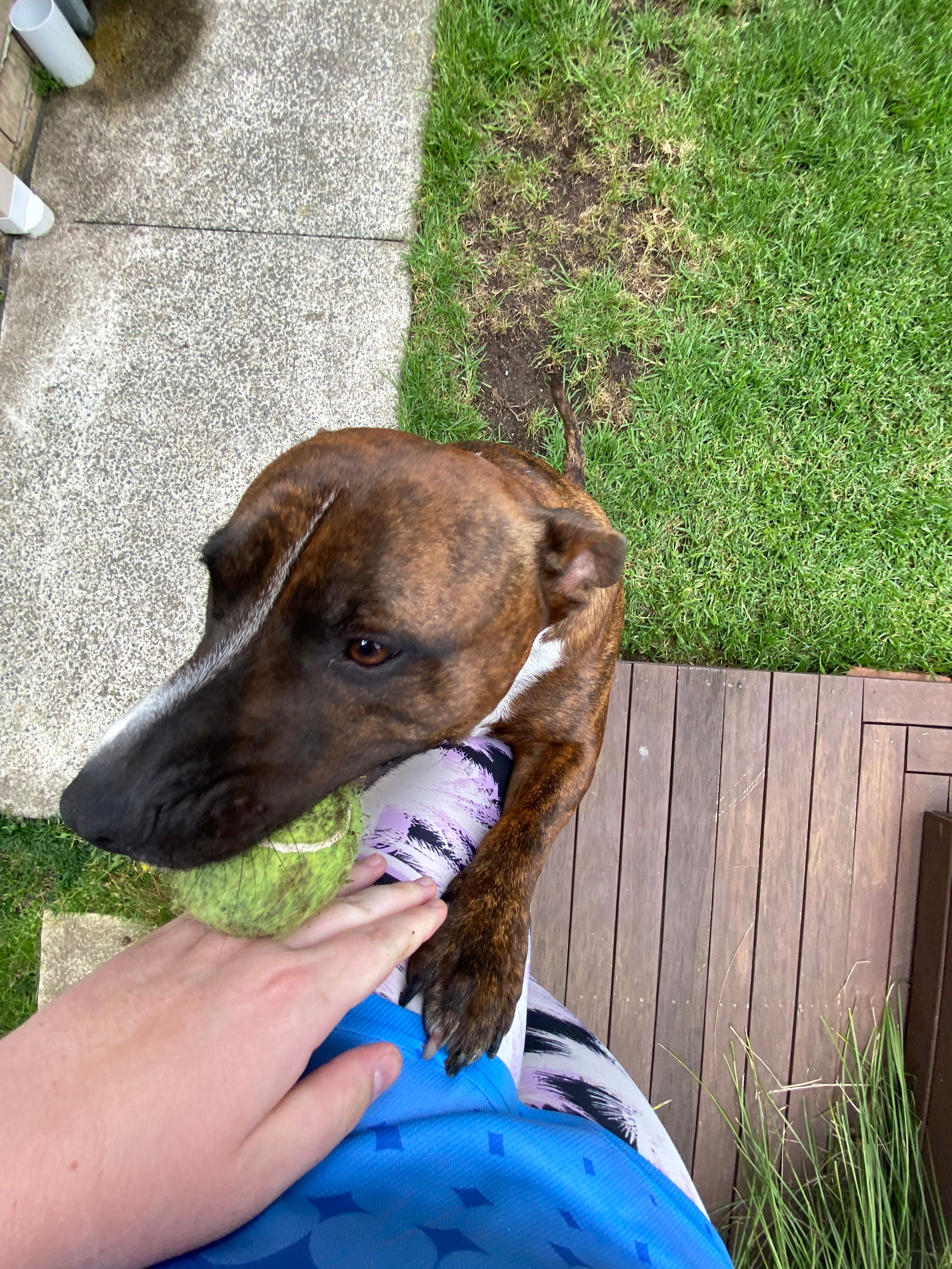 image-9