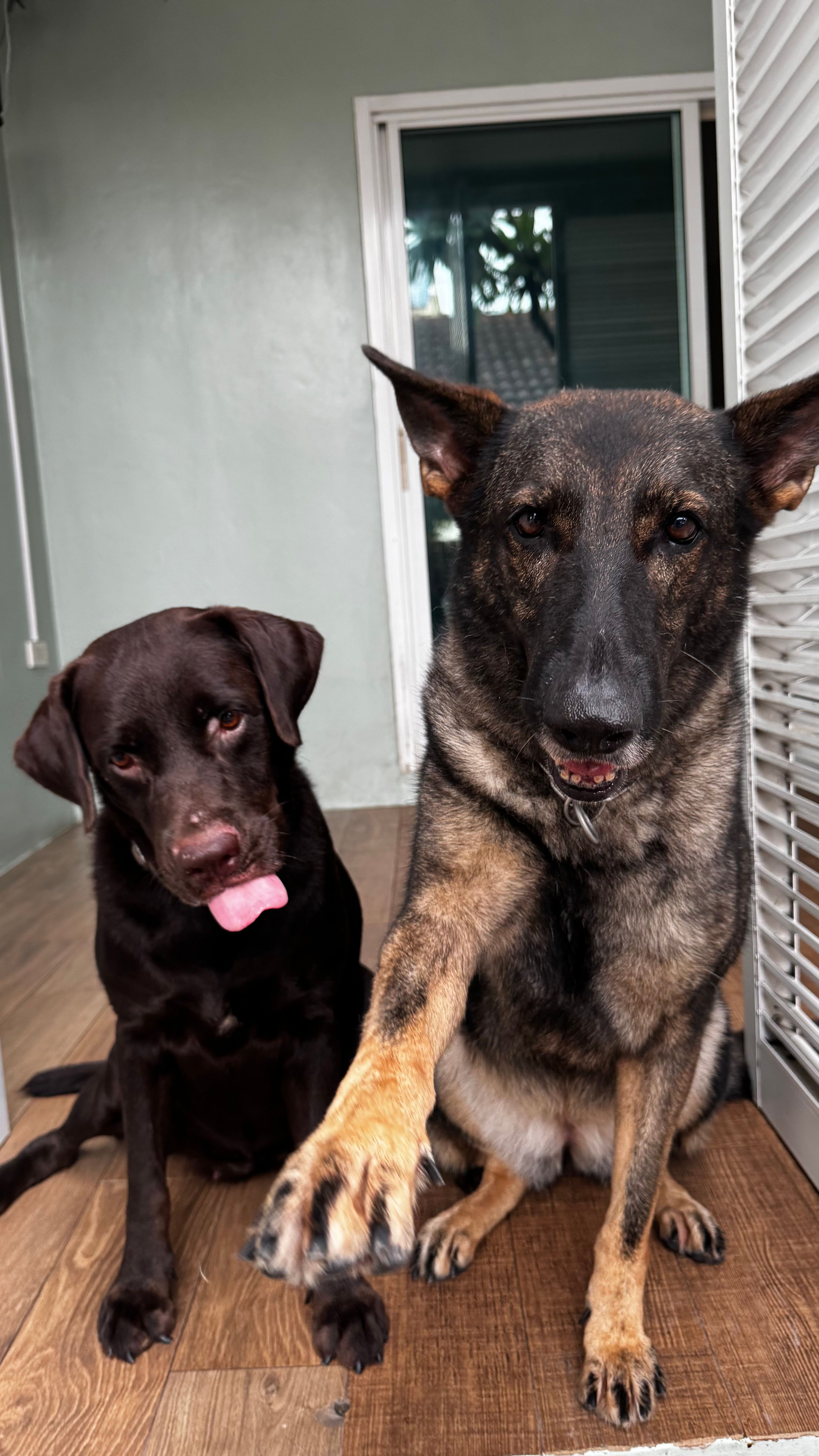 image-6