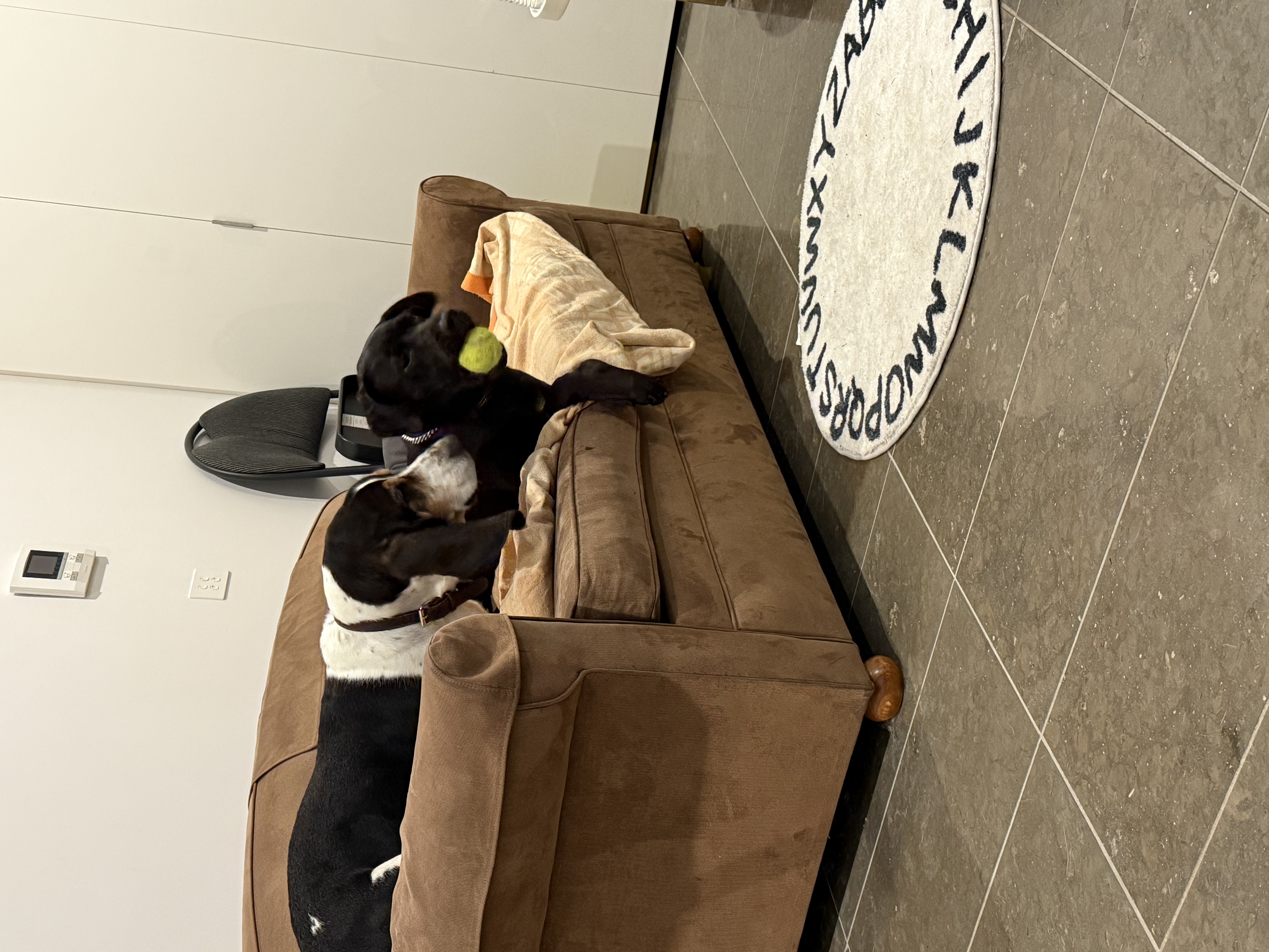 image-13
