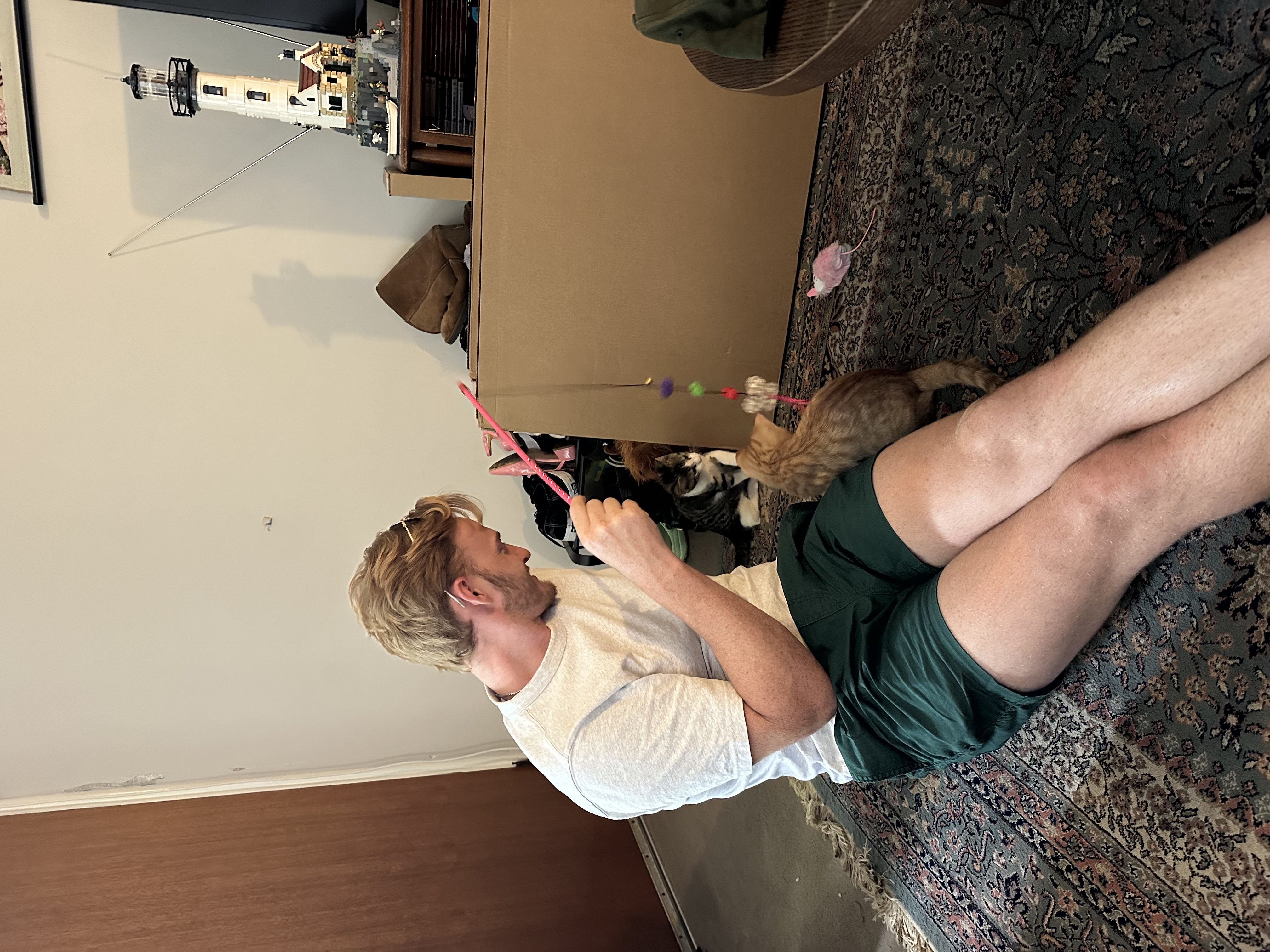 image-10