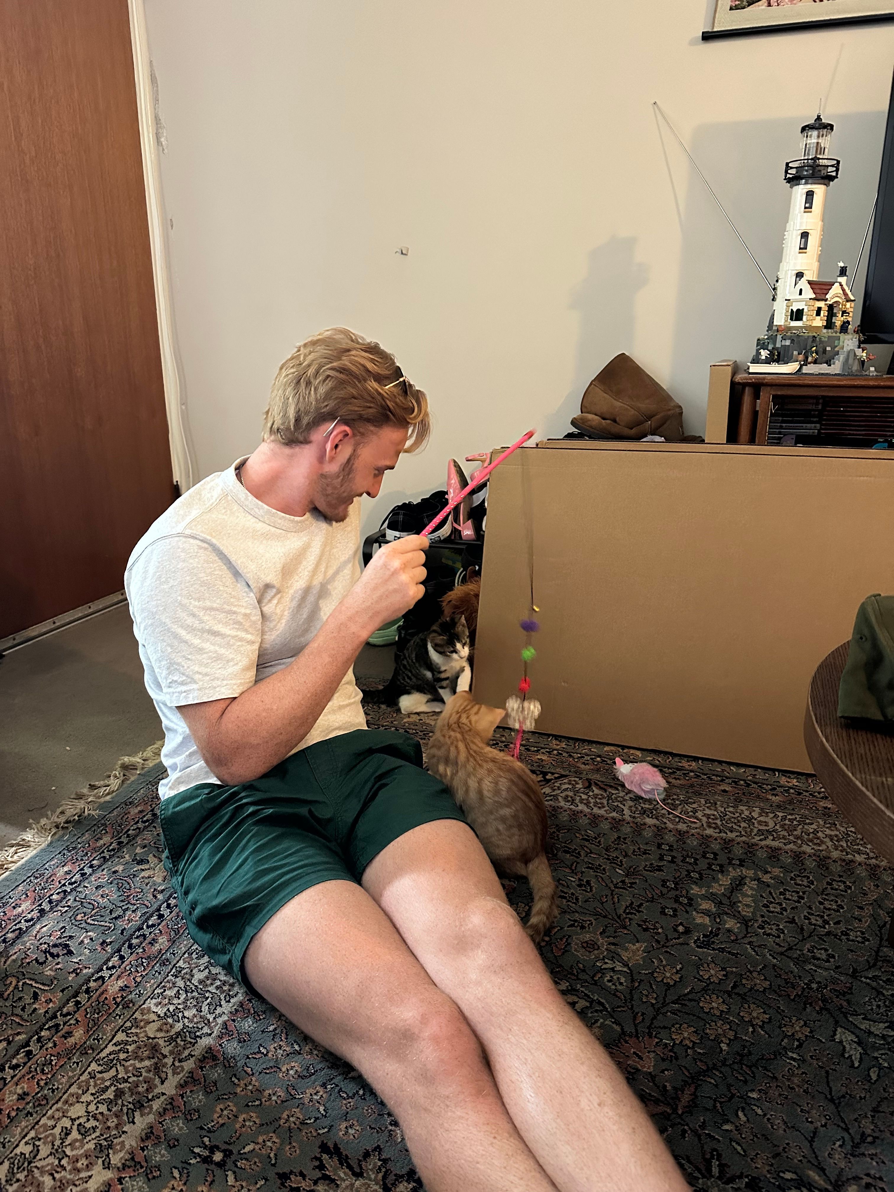 image-10