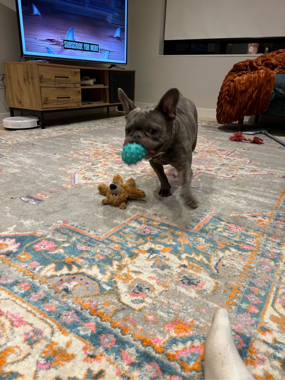 image-8