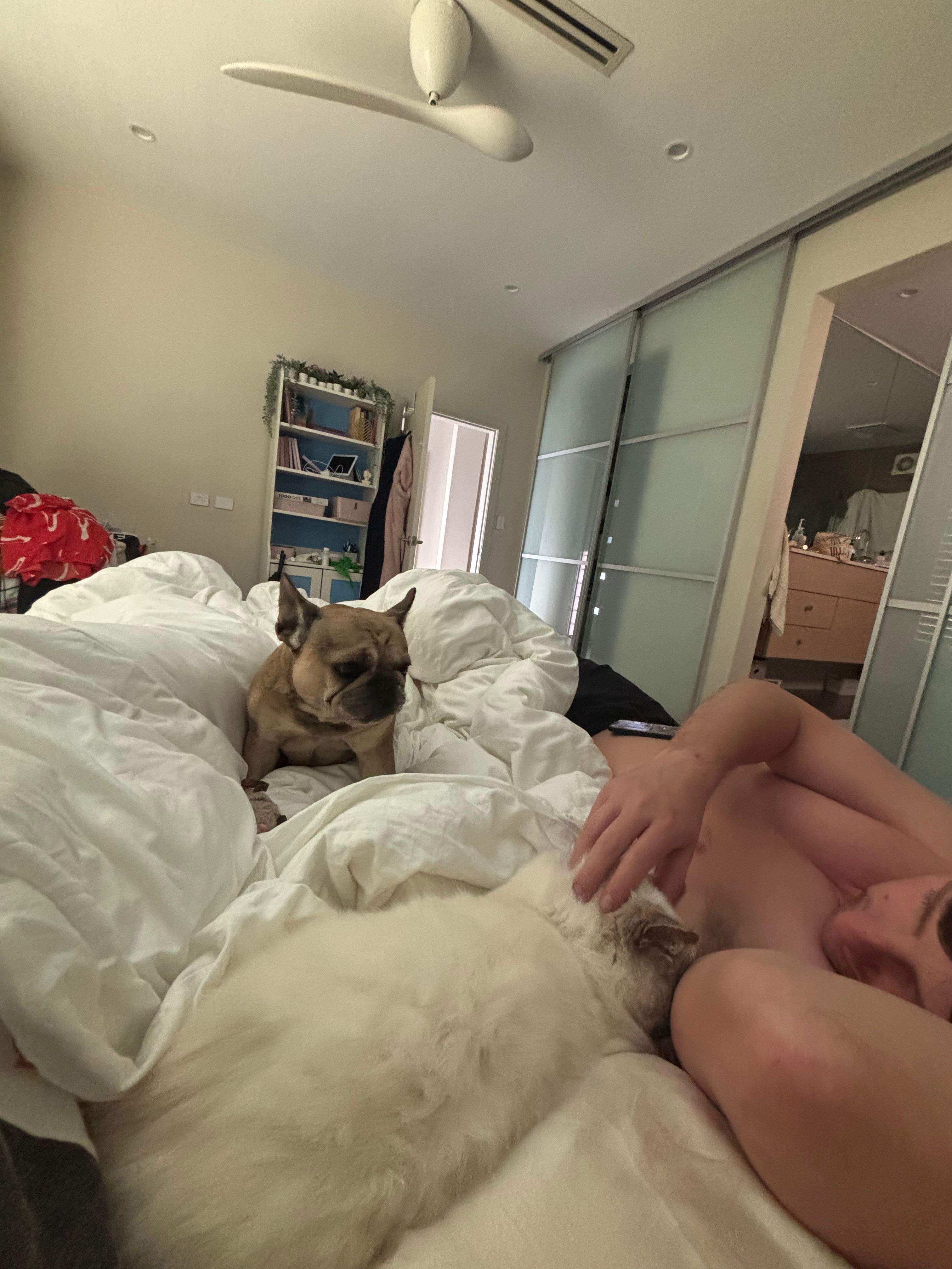 image-10