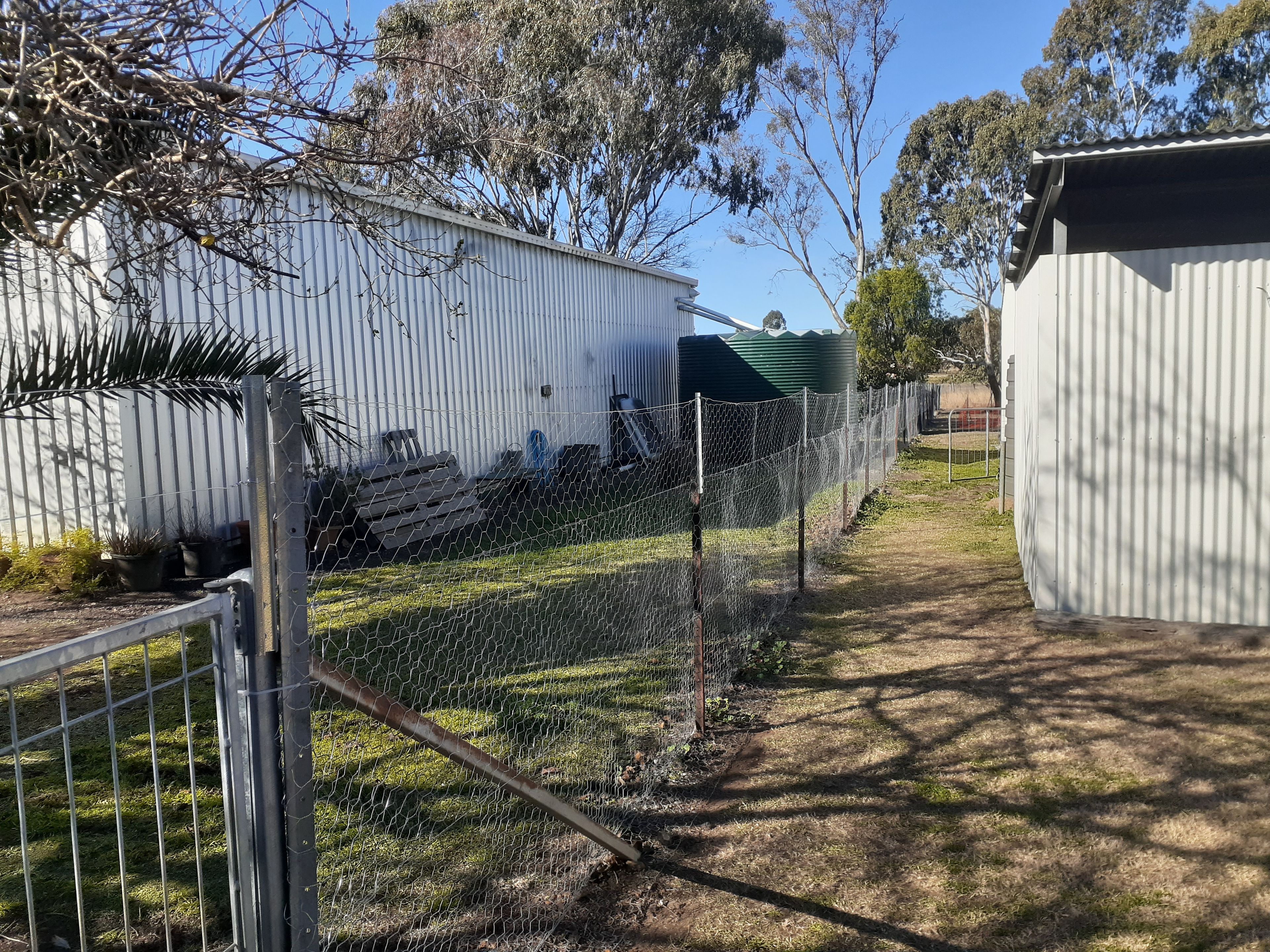 image-12
