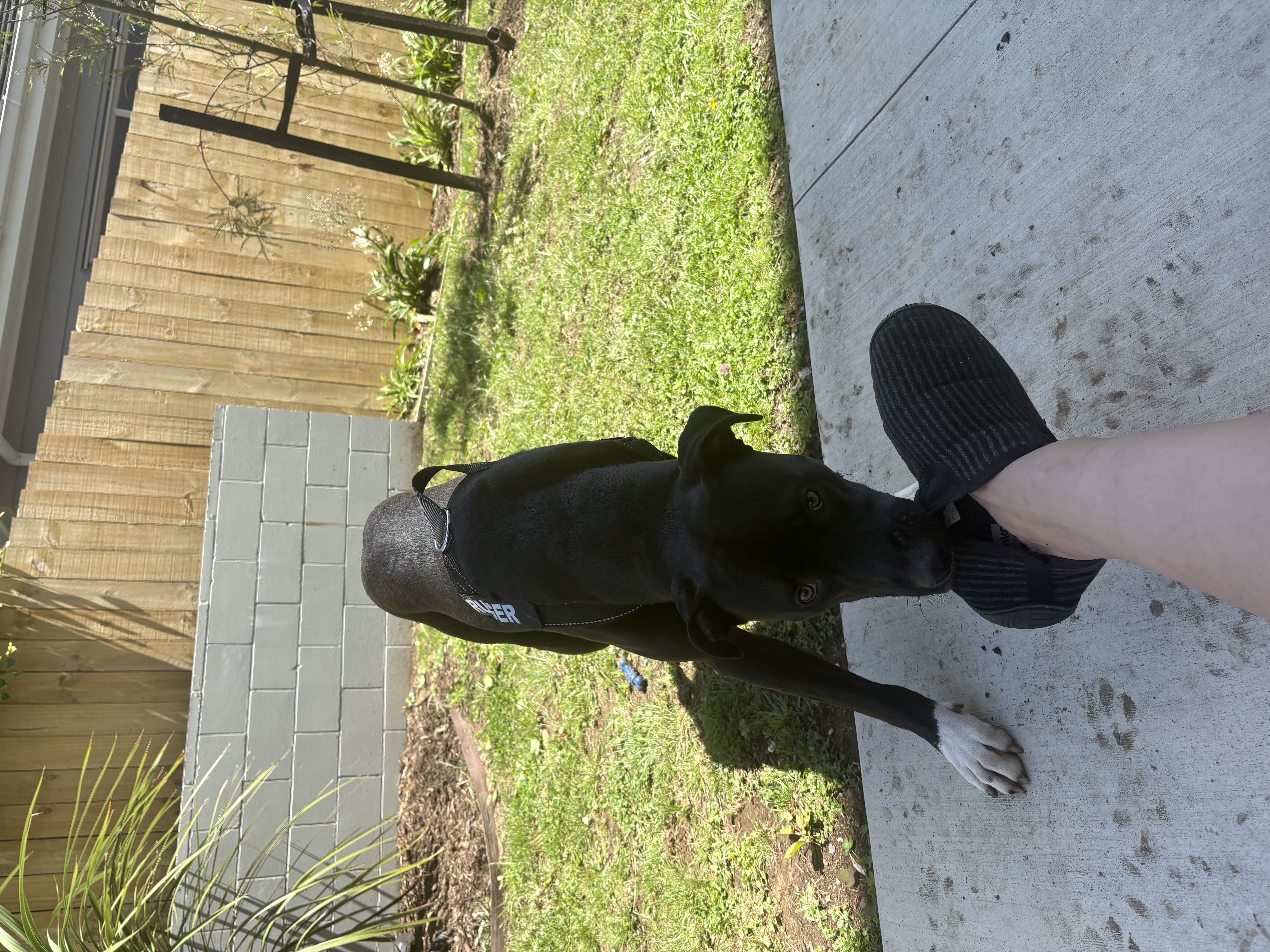 image-15
