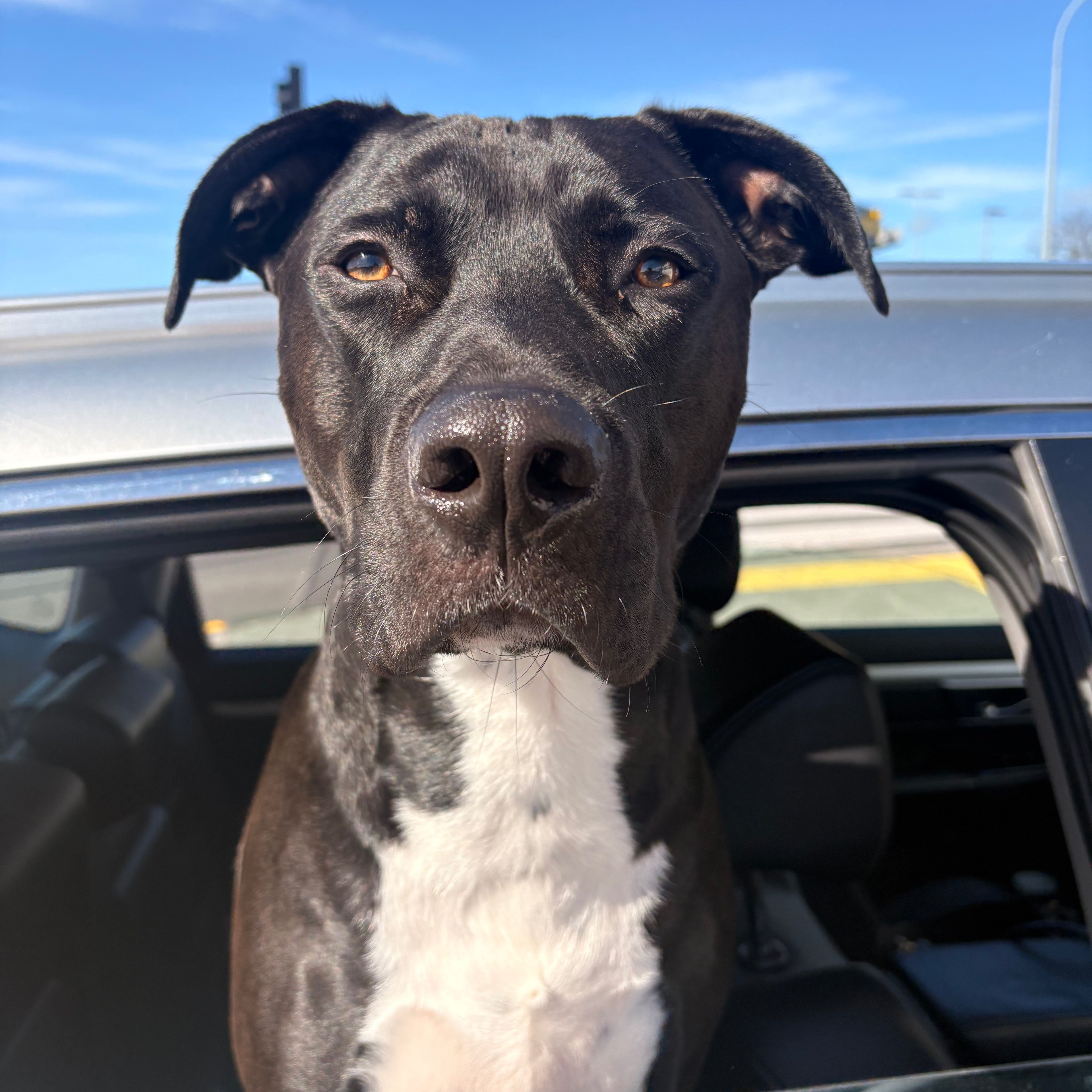 Ruger