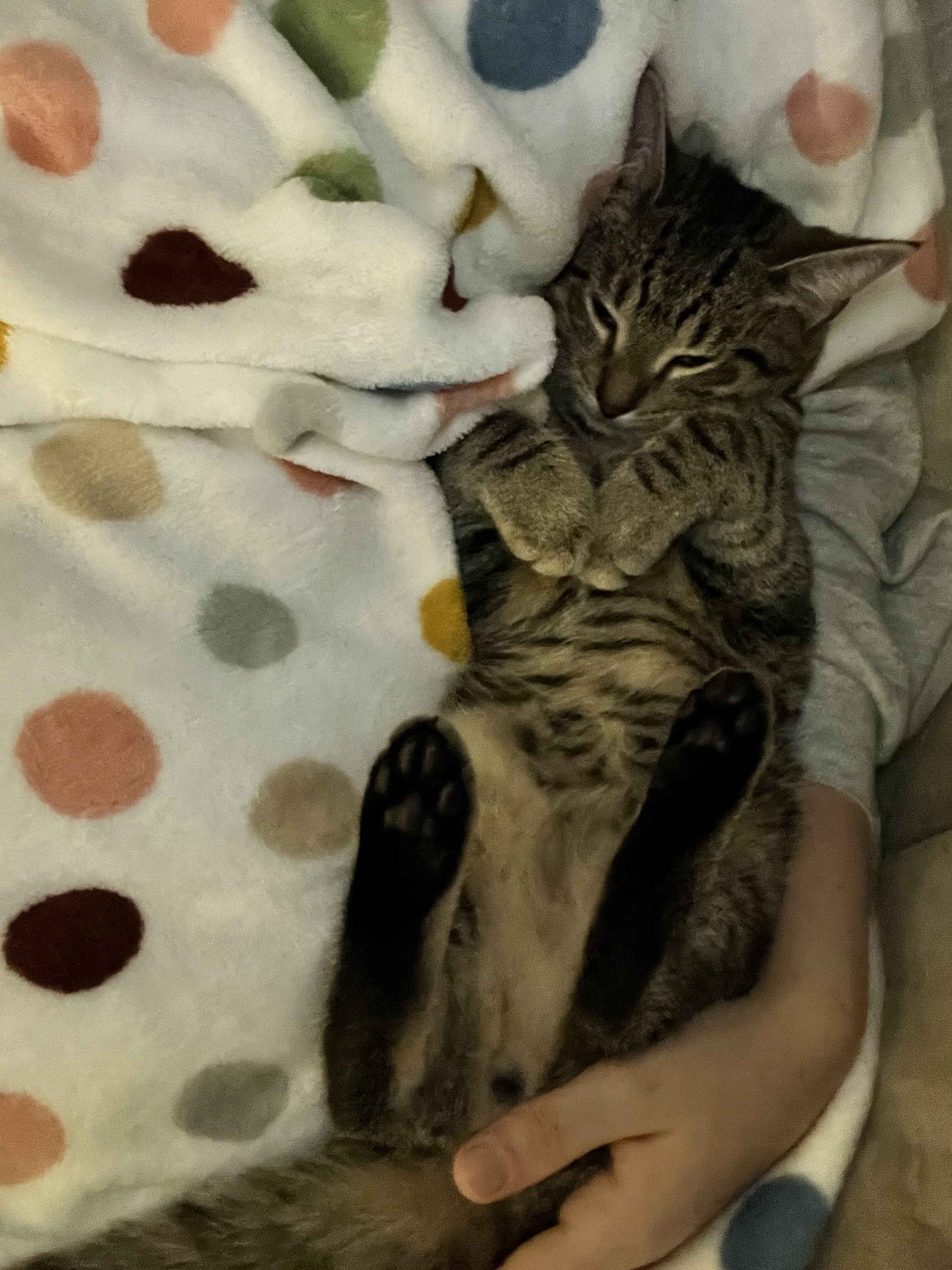 image-7