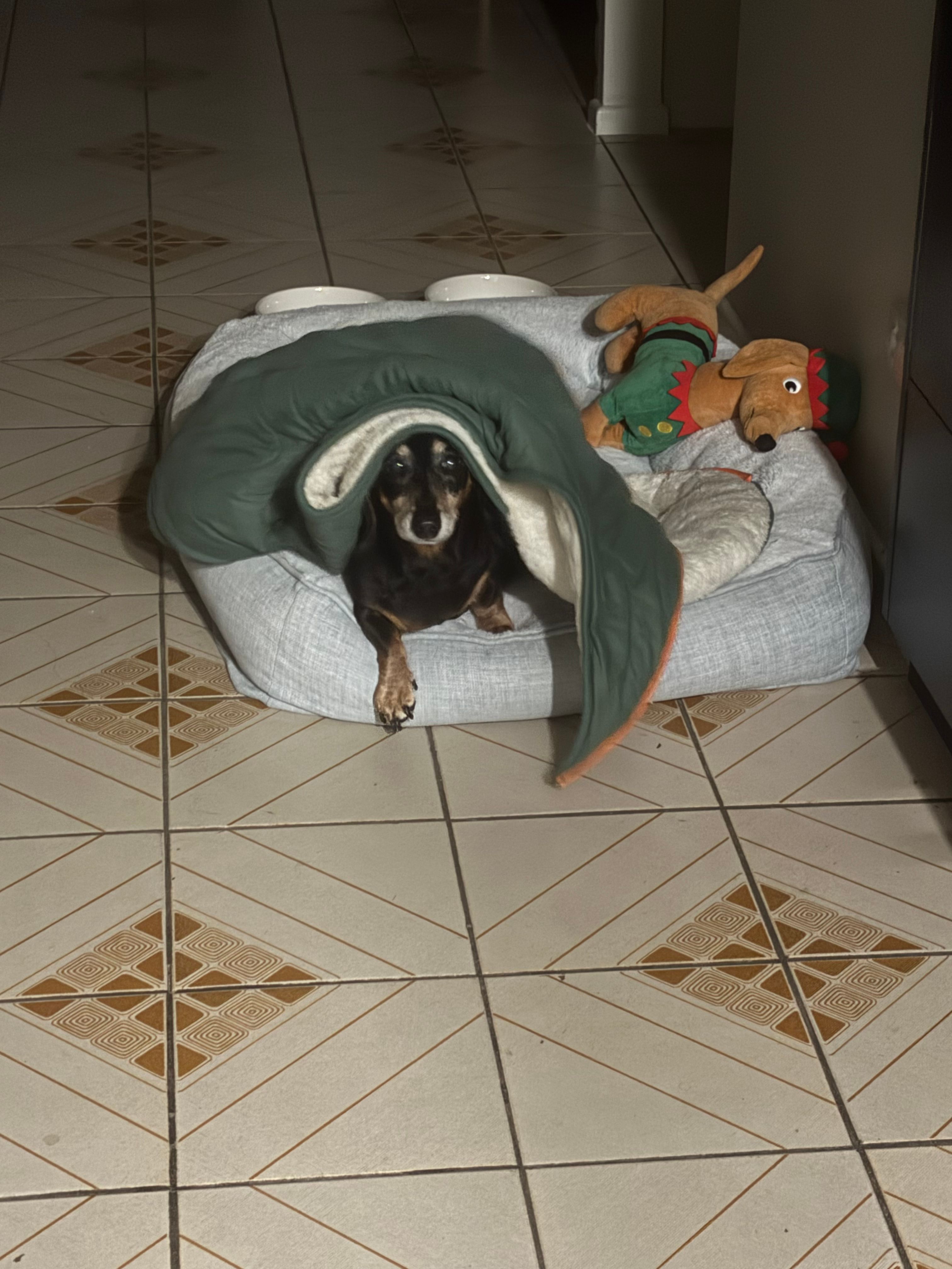 image-14