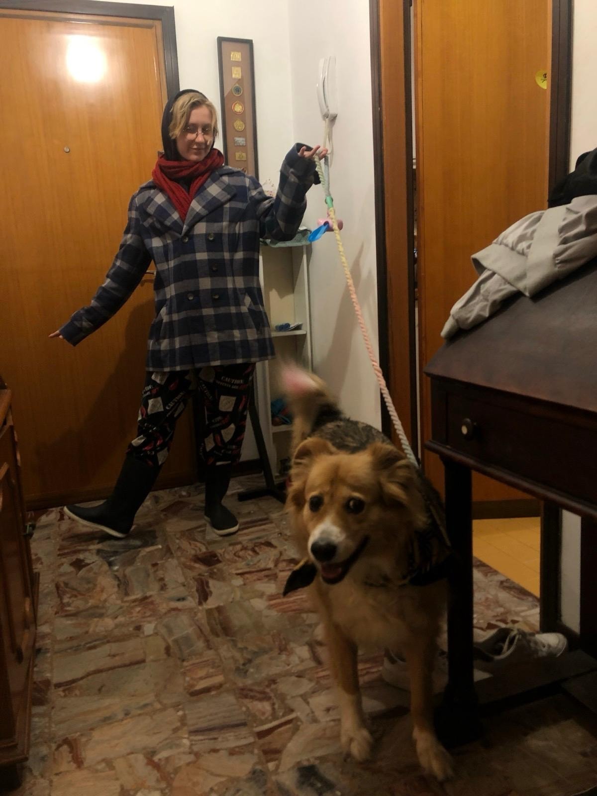 image-6