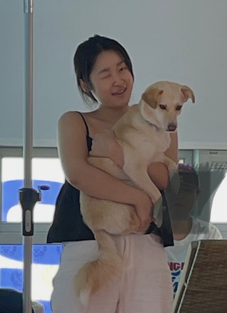 image-4