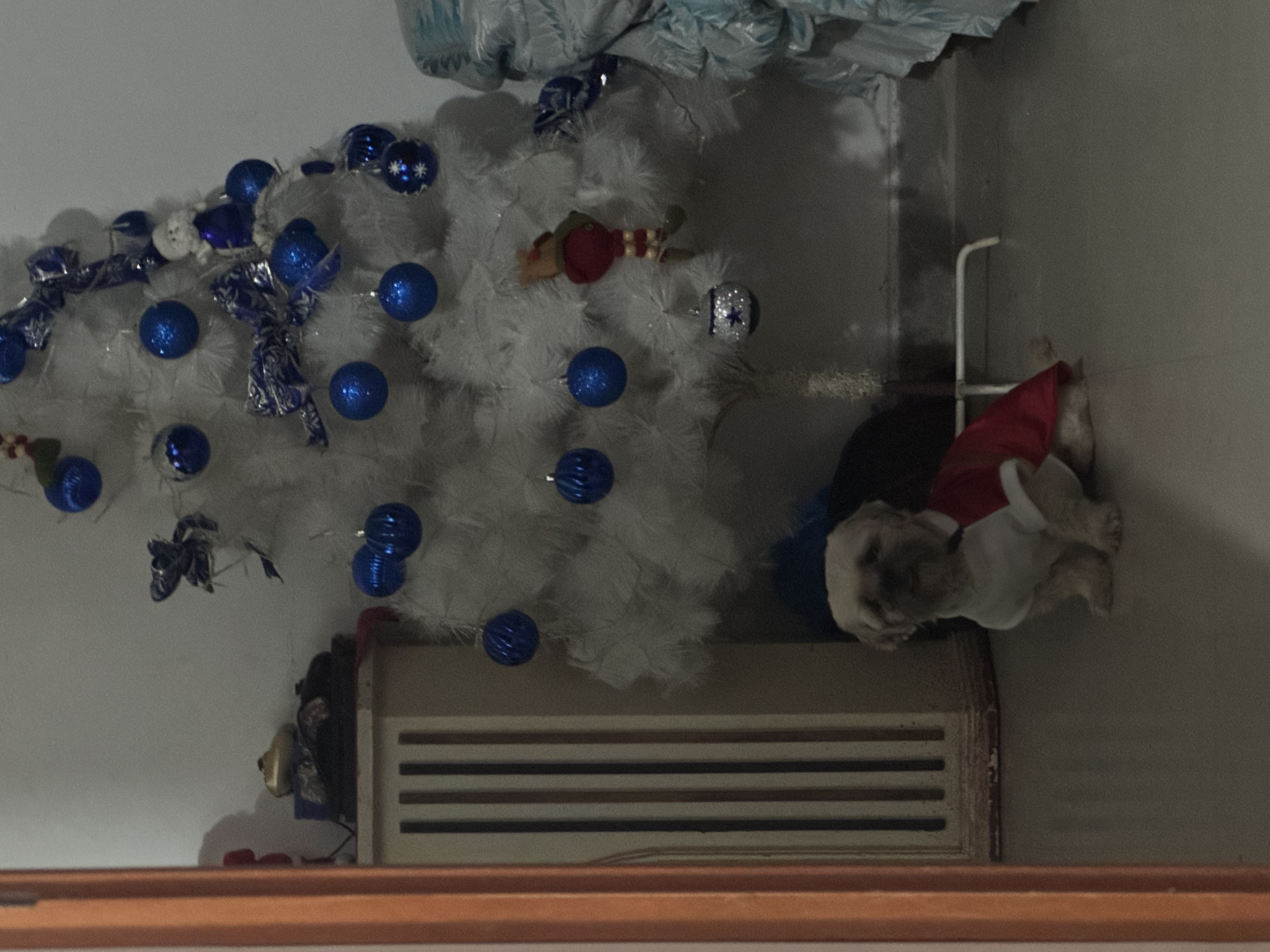 image-9