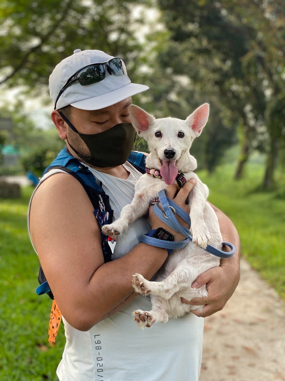 image-6
