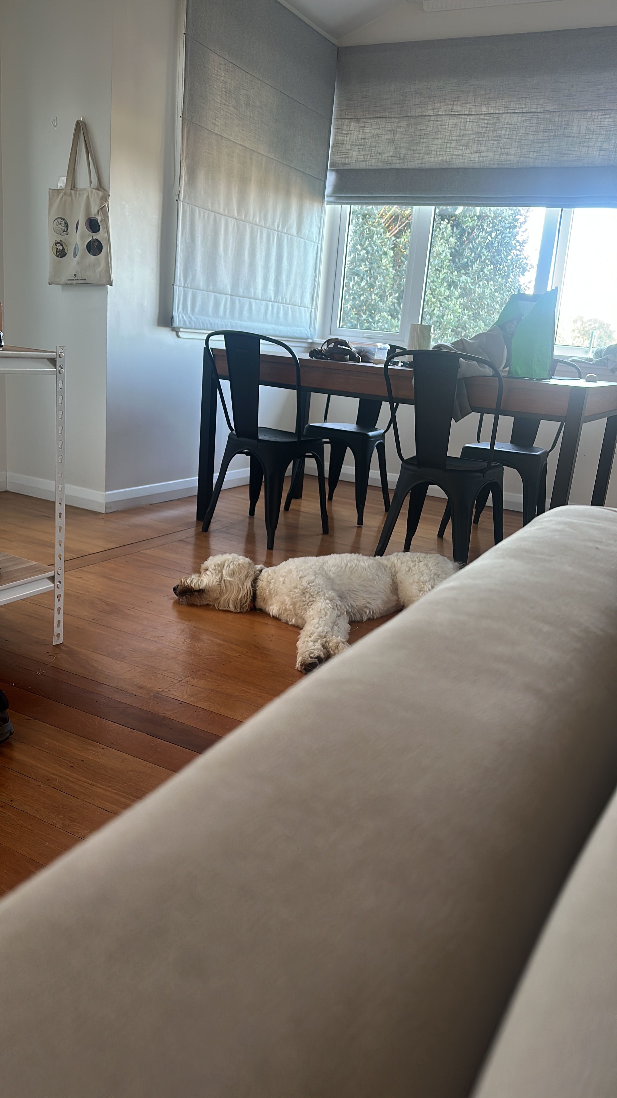 image-18