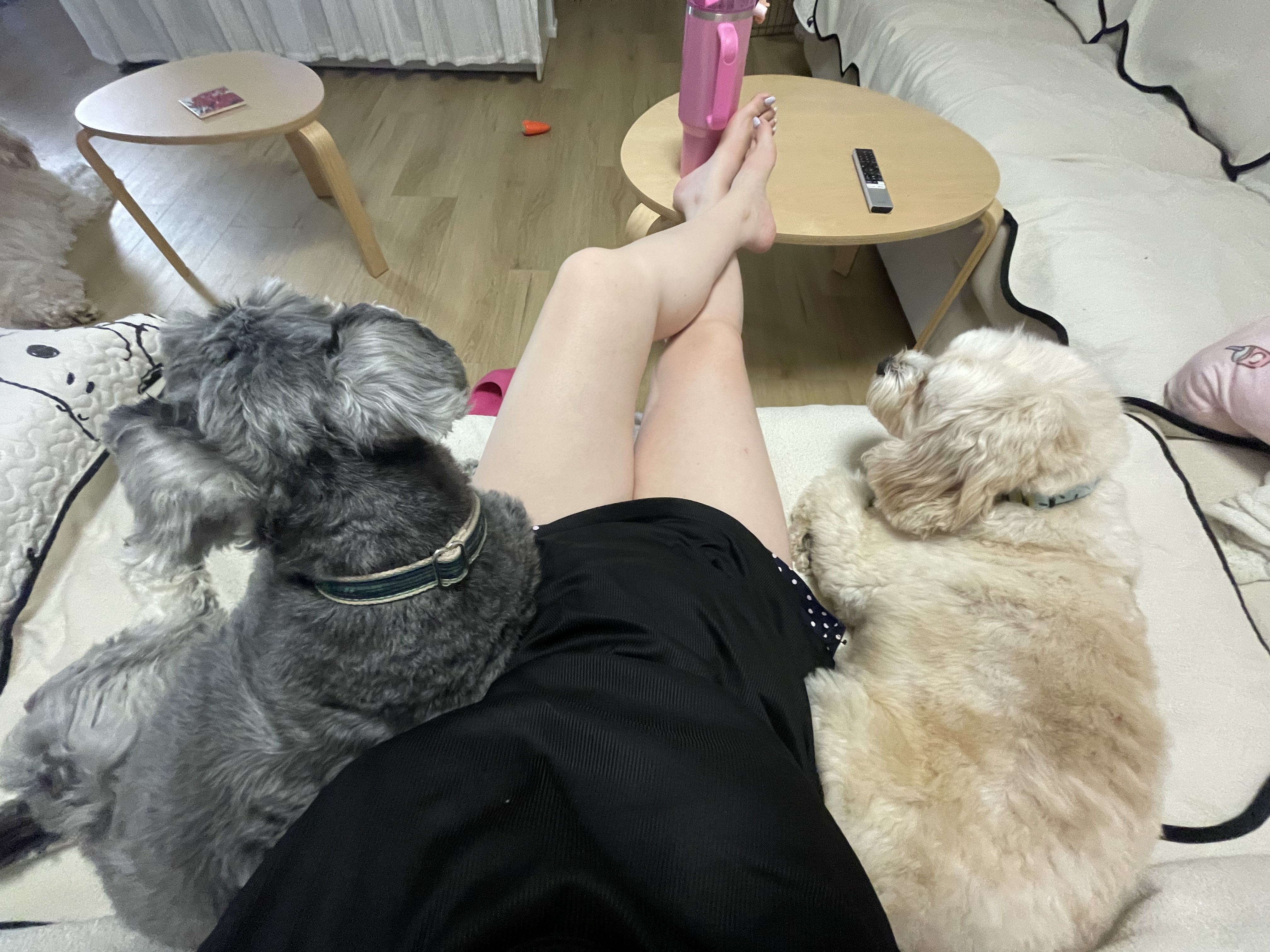image-47