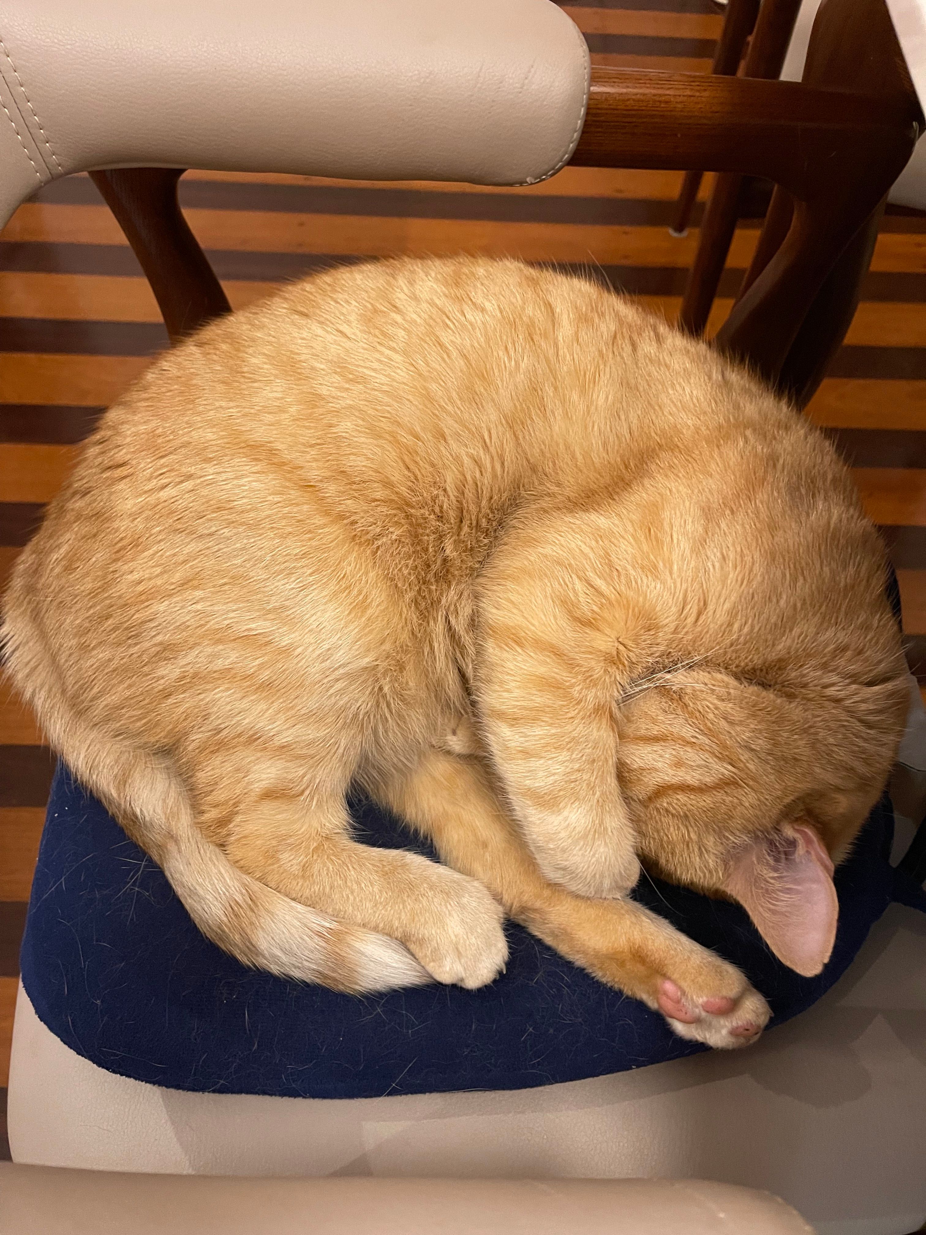 image-20