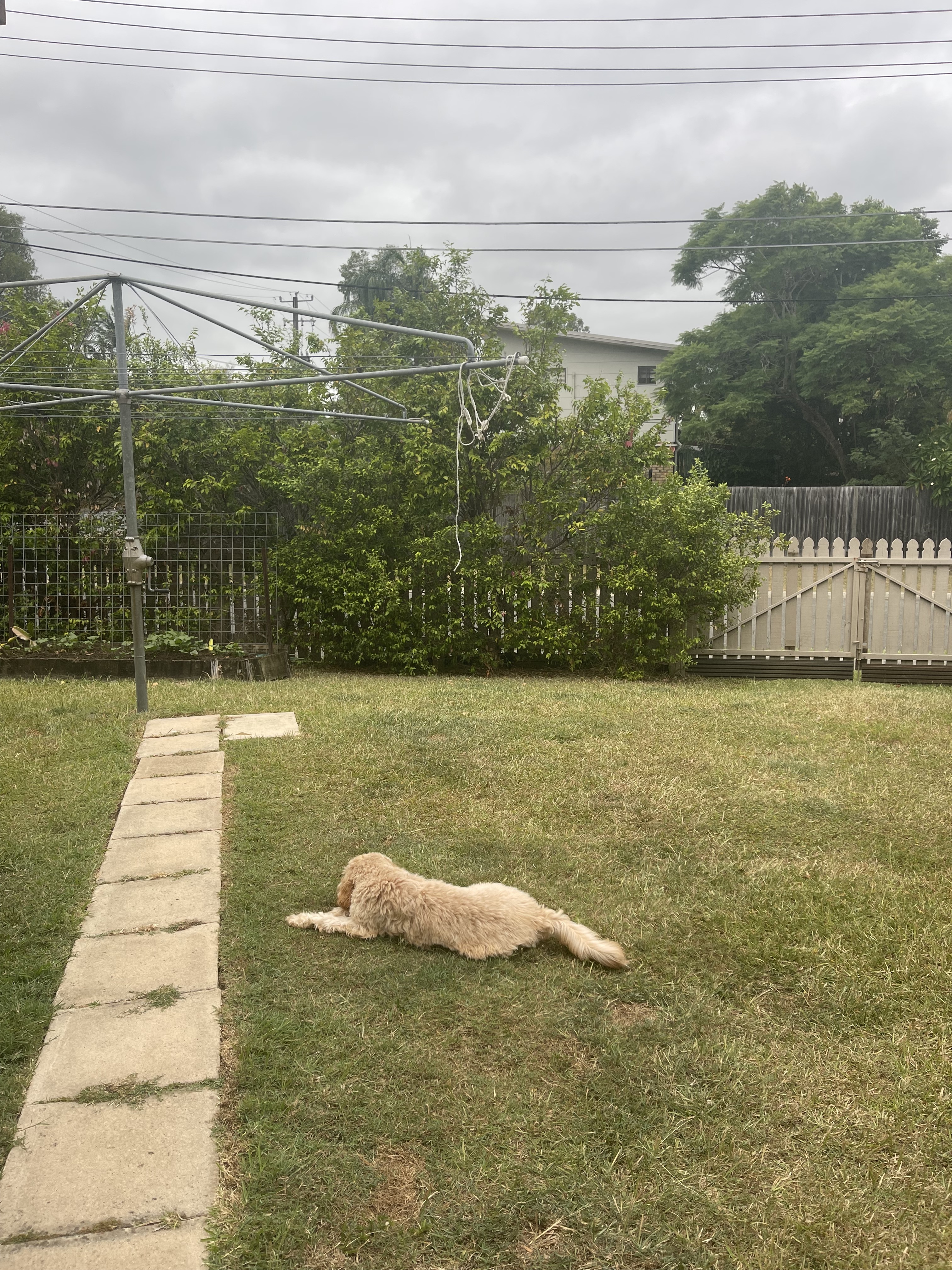 image-17