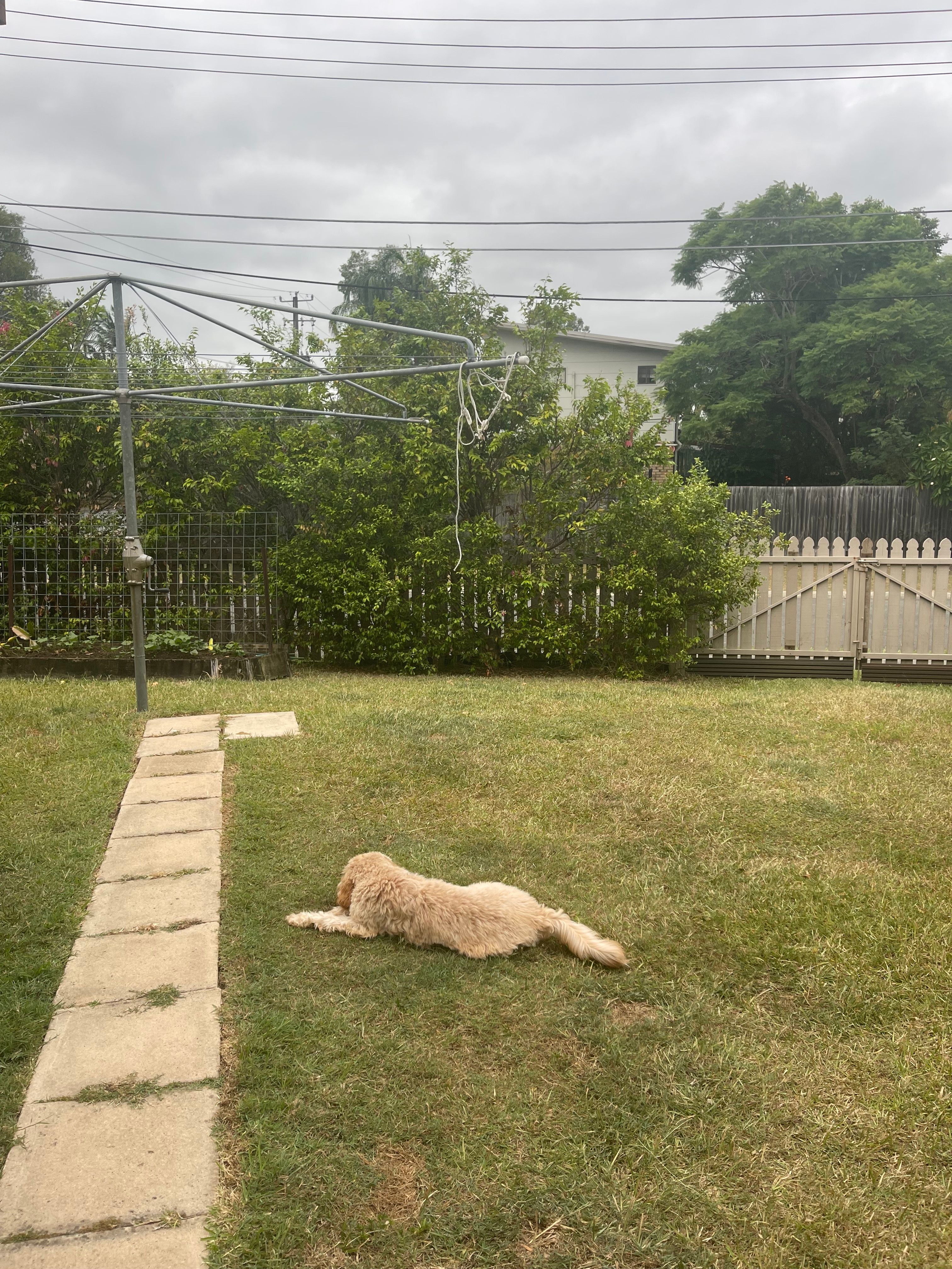 image-17