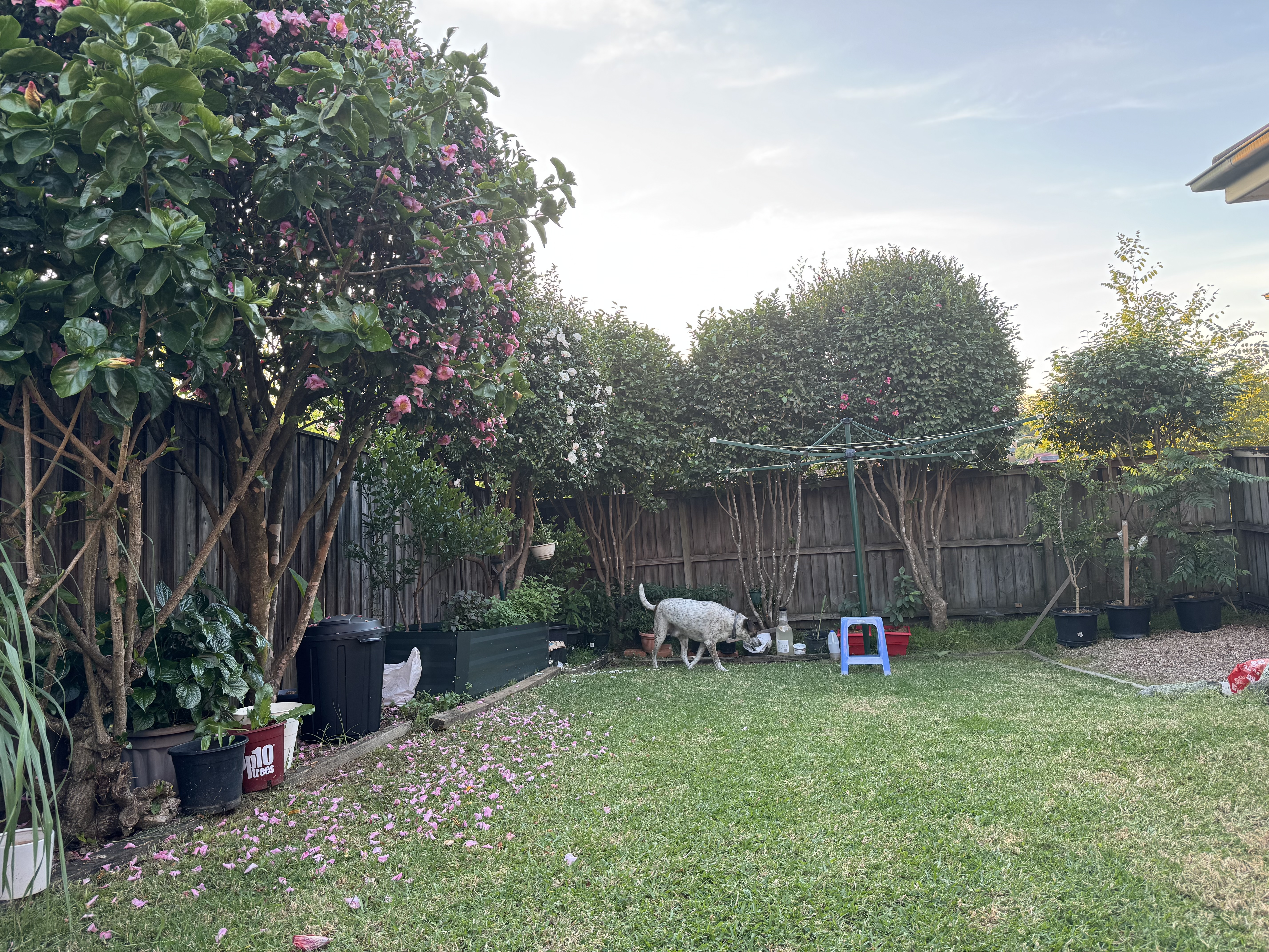 image-18