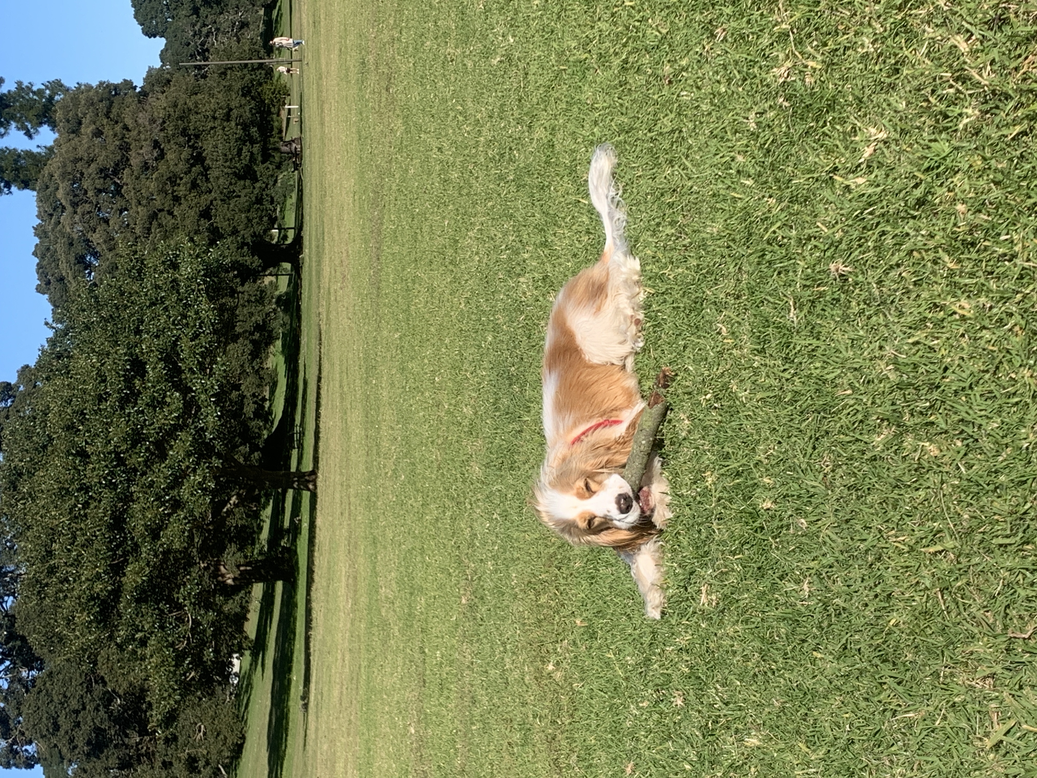 image-3