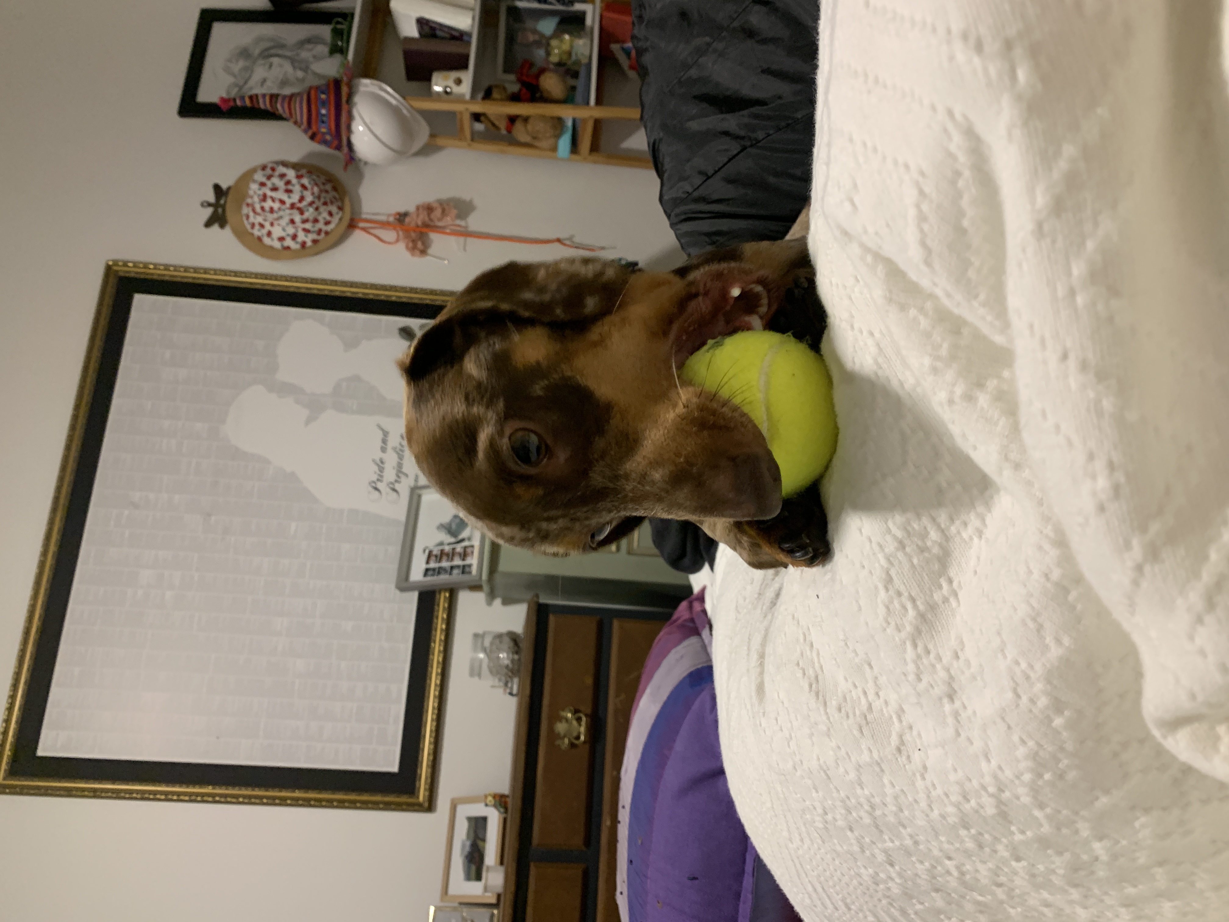 image-8