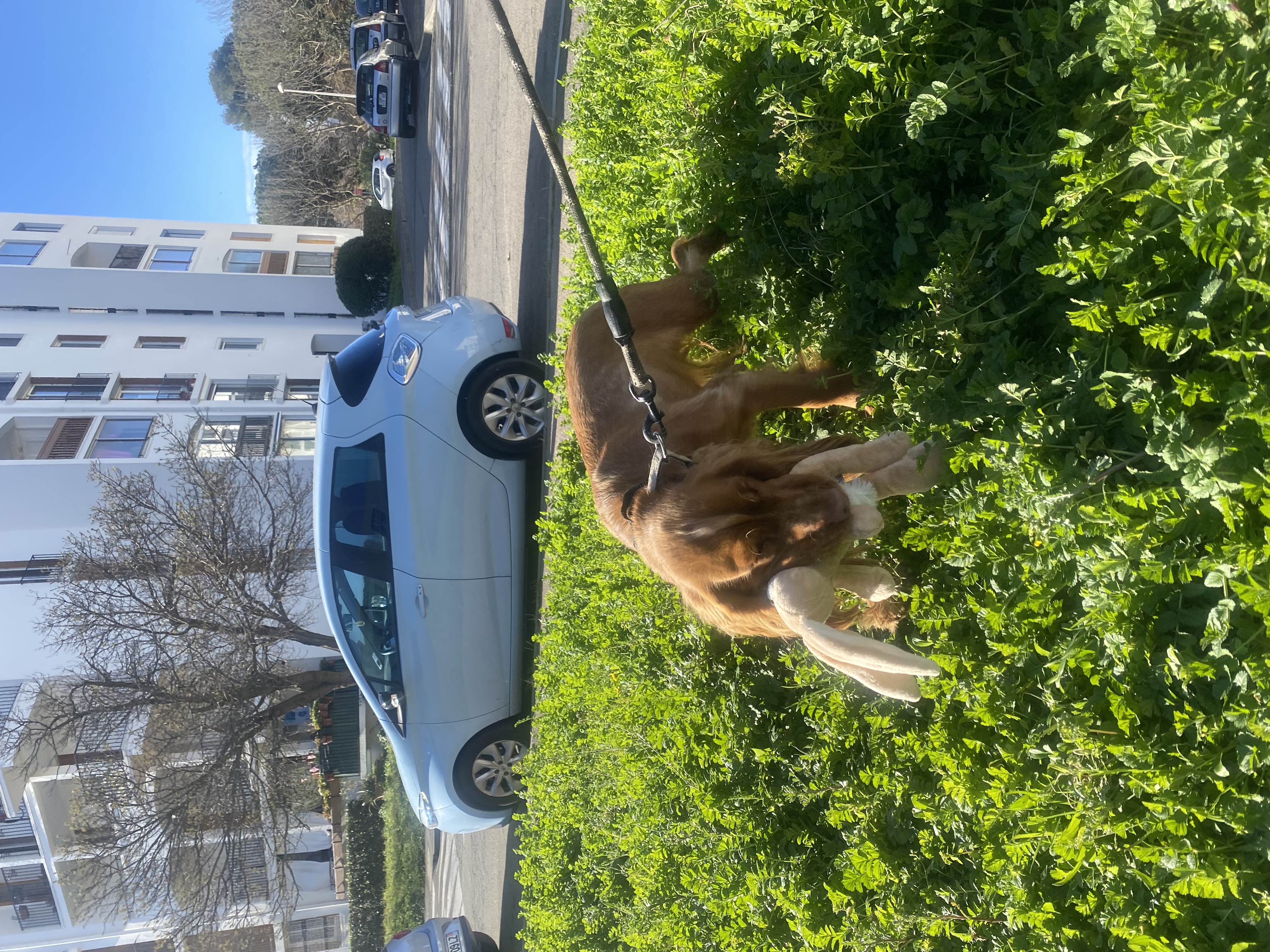 image-5