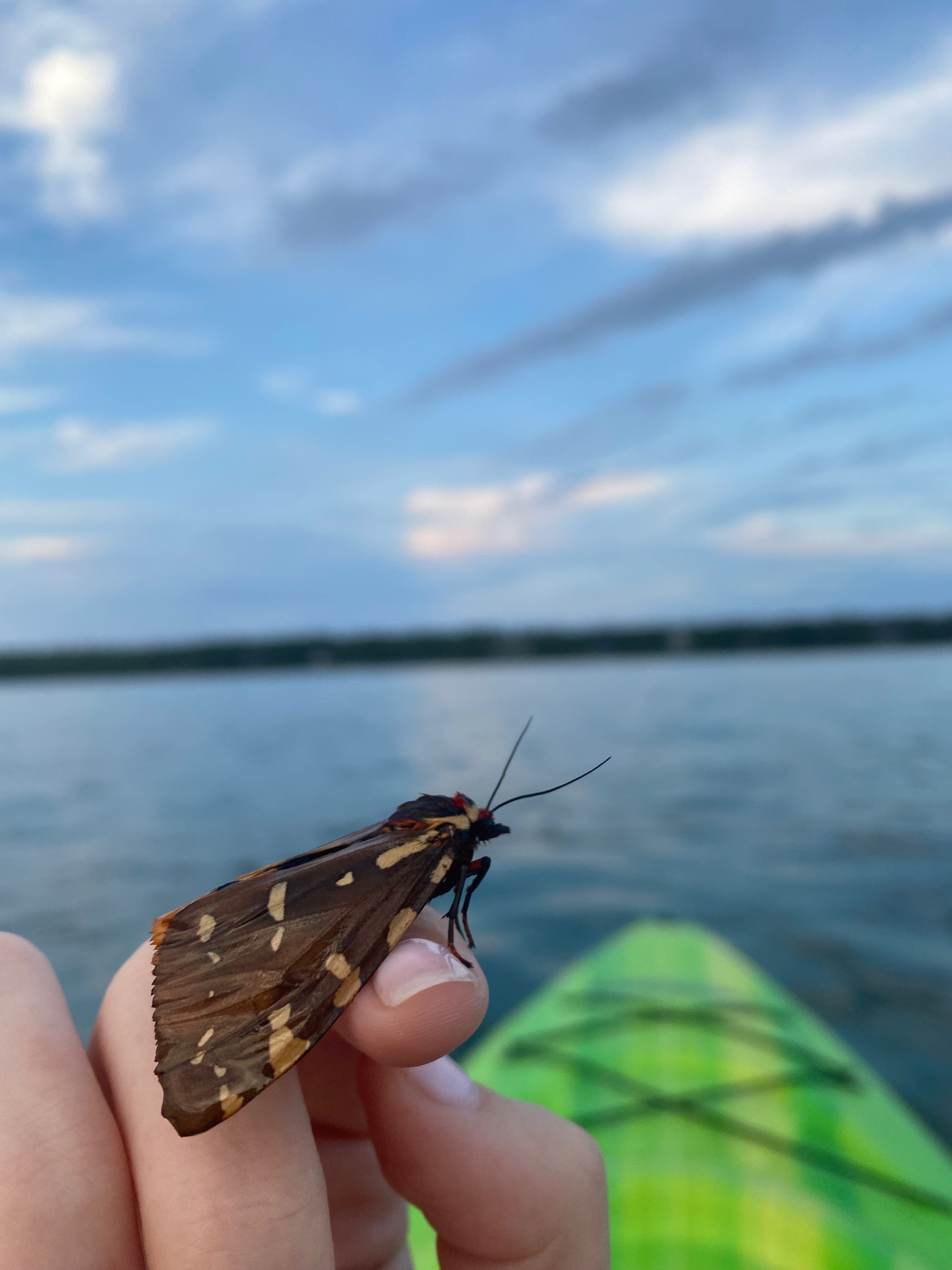 image-11