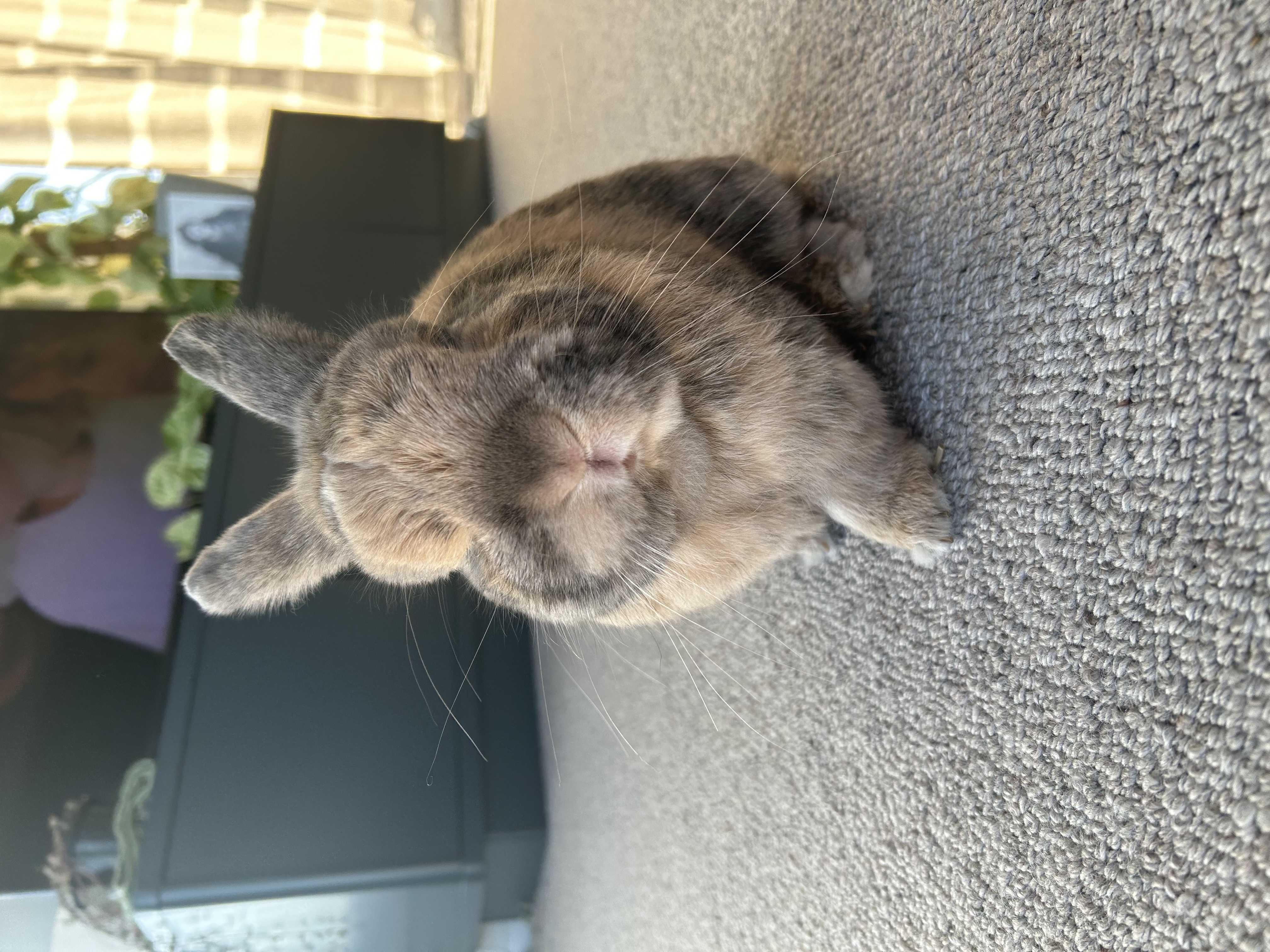 image-3