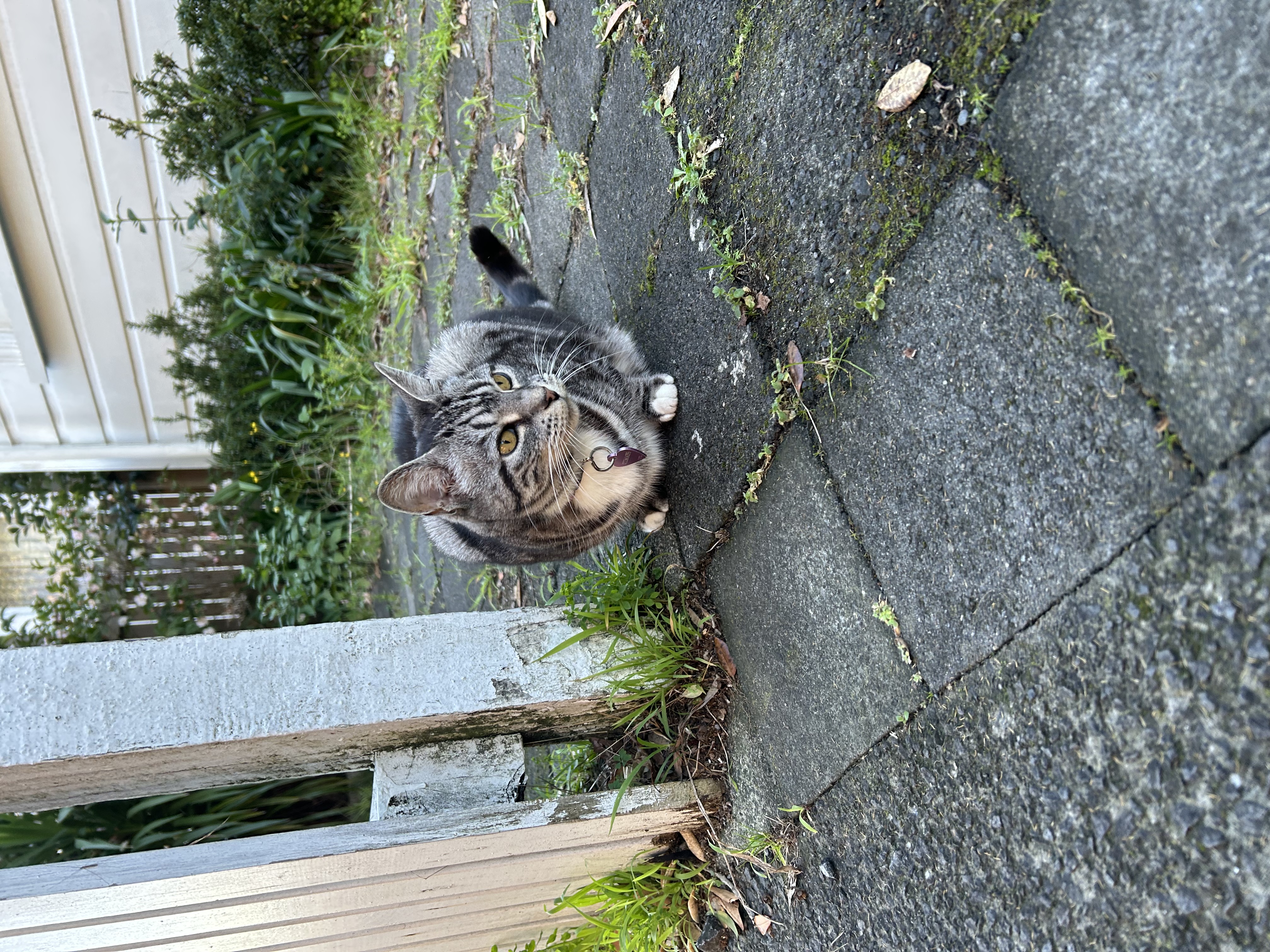 image-8